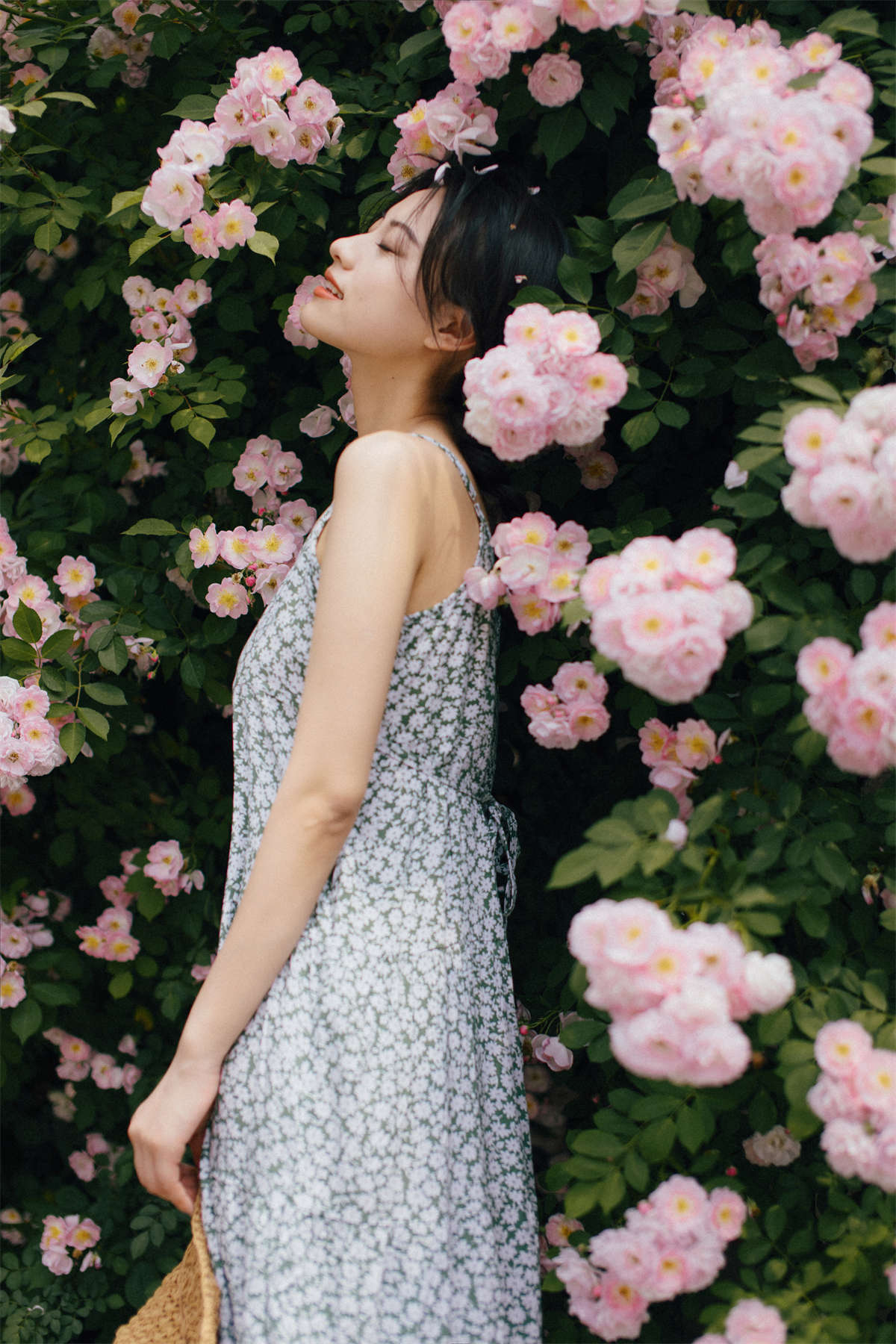 YITUYU艺图语 2022.11.08 蔷薇 九月插图1