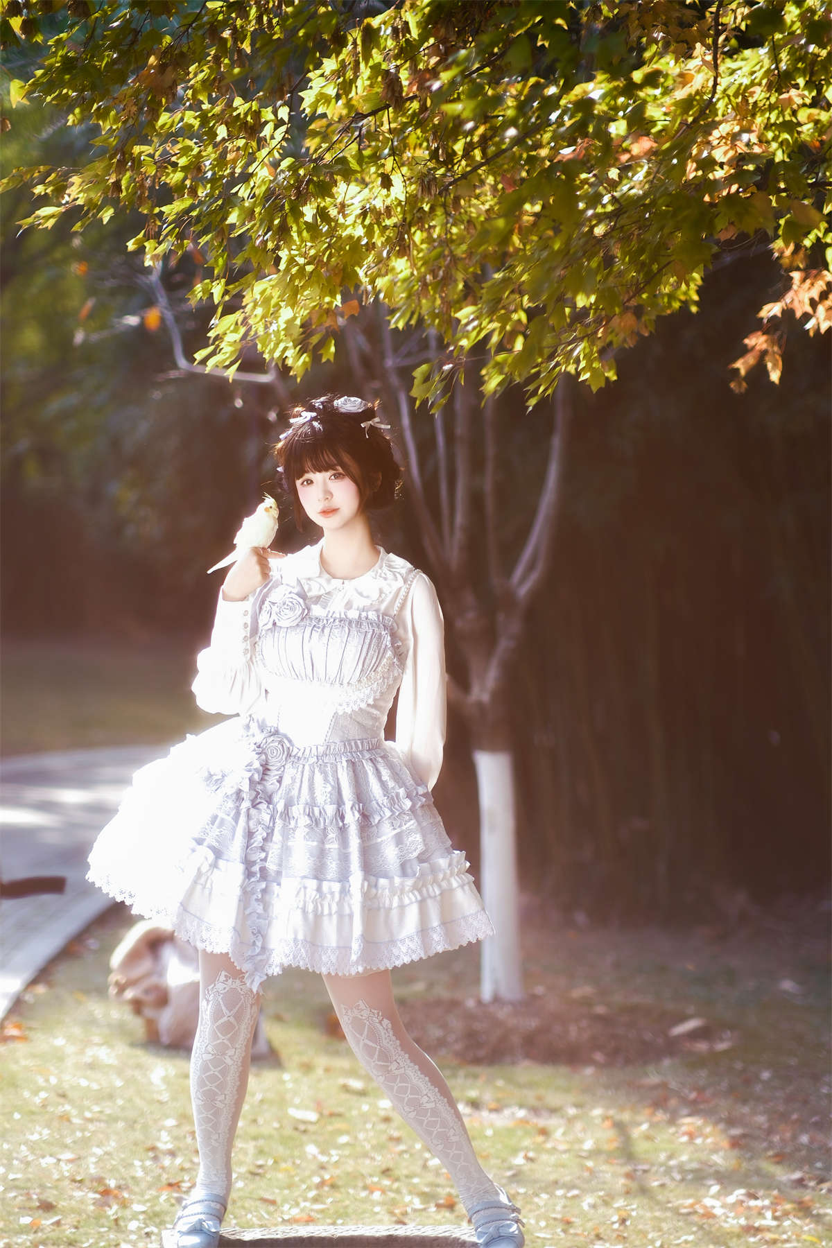 YITUYU艺图语 2023.12.19 莓果 不可爱的禾禾喵插图1