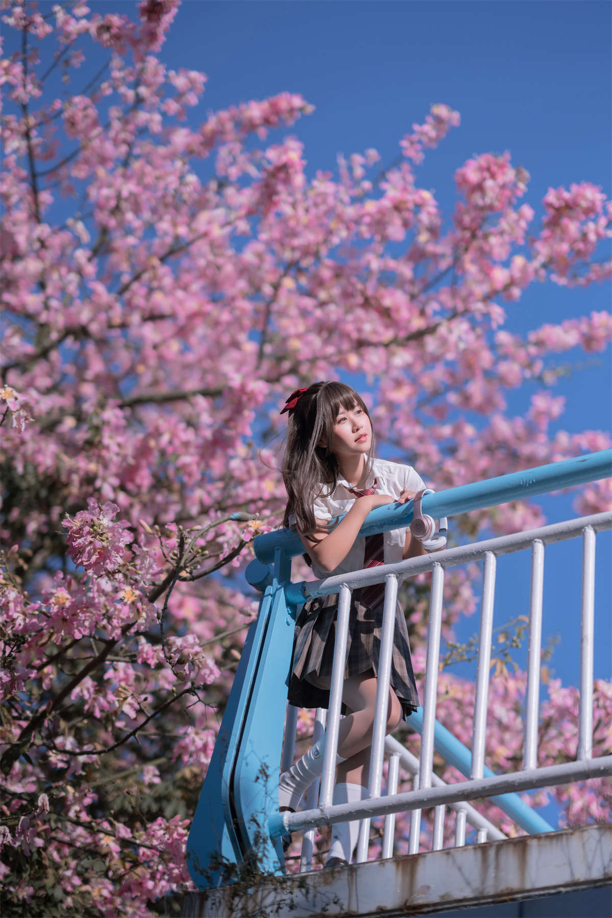 YITUYU艺图语 2023.02.19 异木棉花 萌芽儿o0插图1