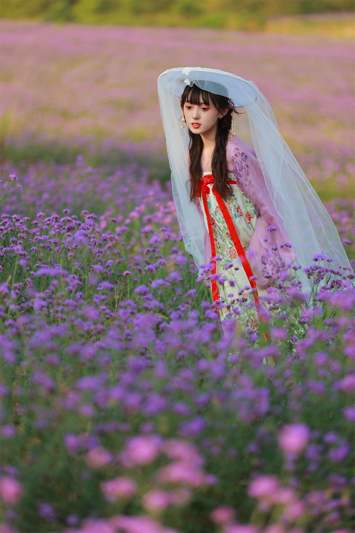 YITUYU艺图语 2023.08.19 薰衣草少女 锘锘吃糯米插图1