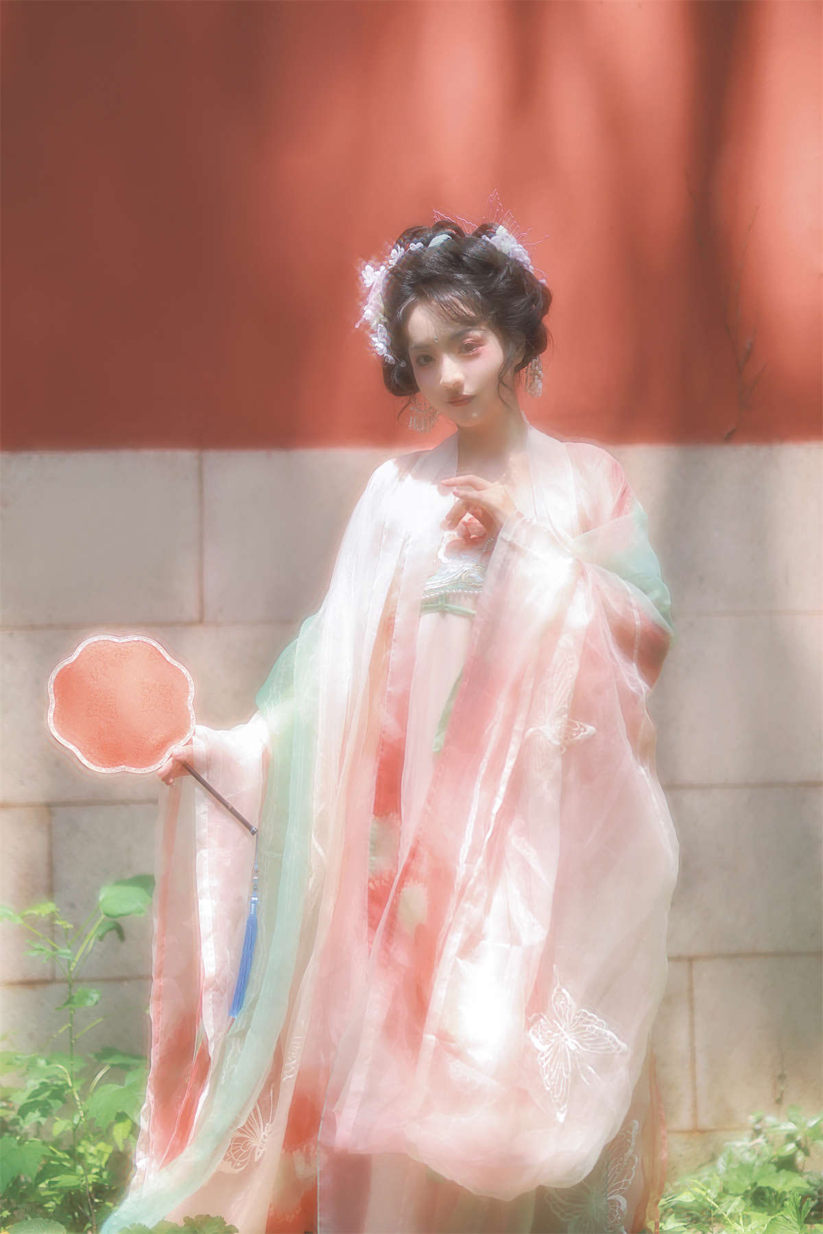 YITUYU艺图语 2023.09.19 游行记 边境牧羊猫插图1