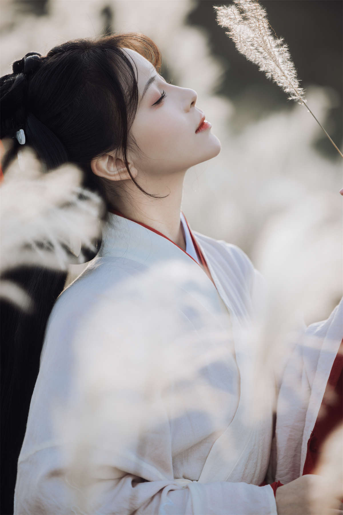 YITUYU艺图语 2023.12.20 蒹葭苍苍 公子不坏插图1