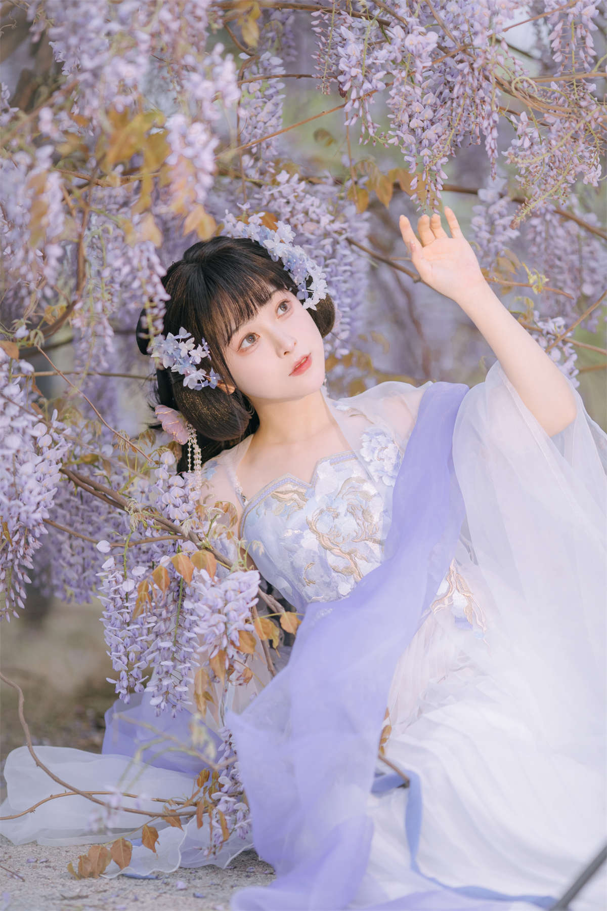 YITUYU艺图语 2023.04.24 紫藤小花仙 麻辣孔雀插图1