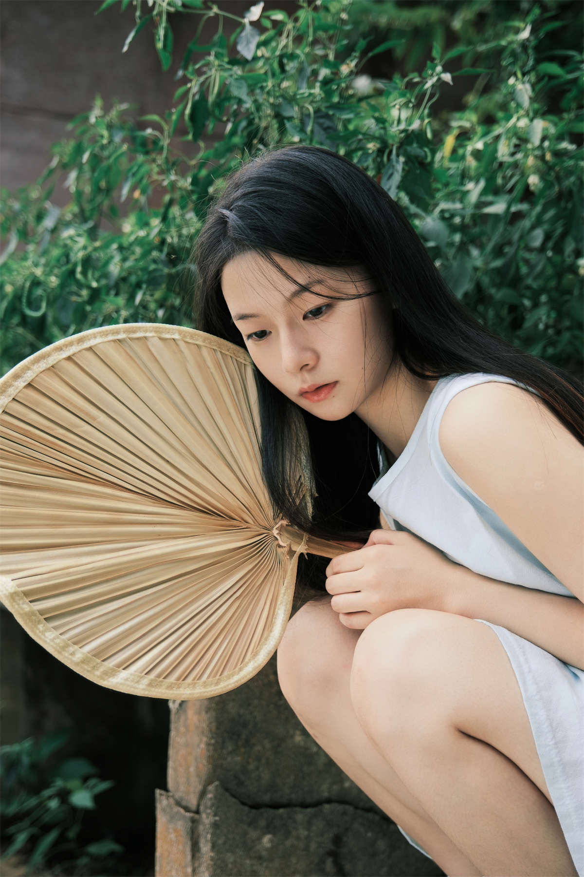 YITUYU艺图语 2024.12.01 那个盛夏 蝴蝶妹妹插图1