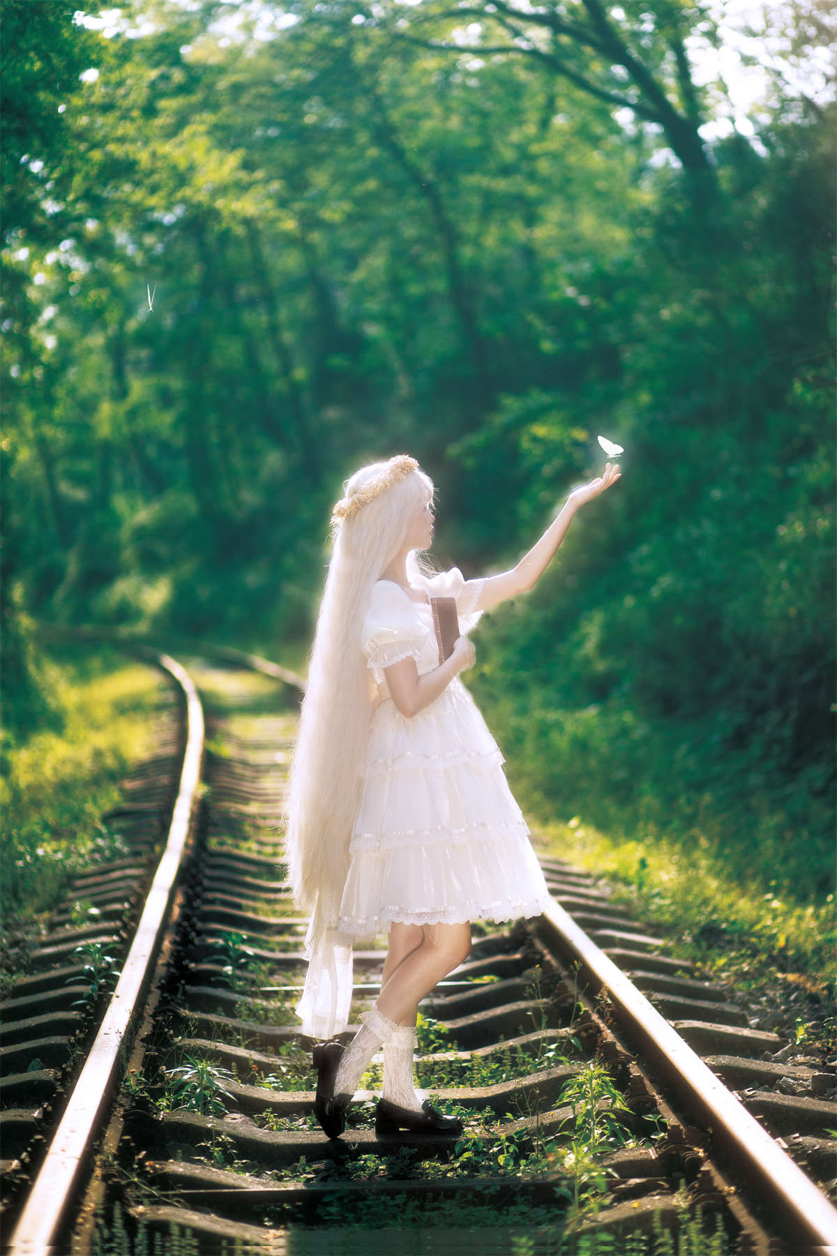 YITUYU艺图语 2023.05.30 绿野仙踪 二金花插图1