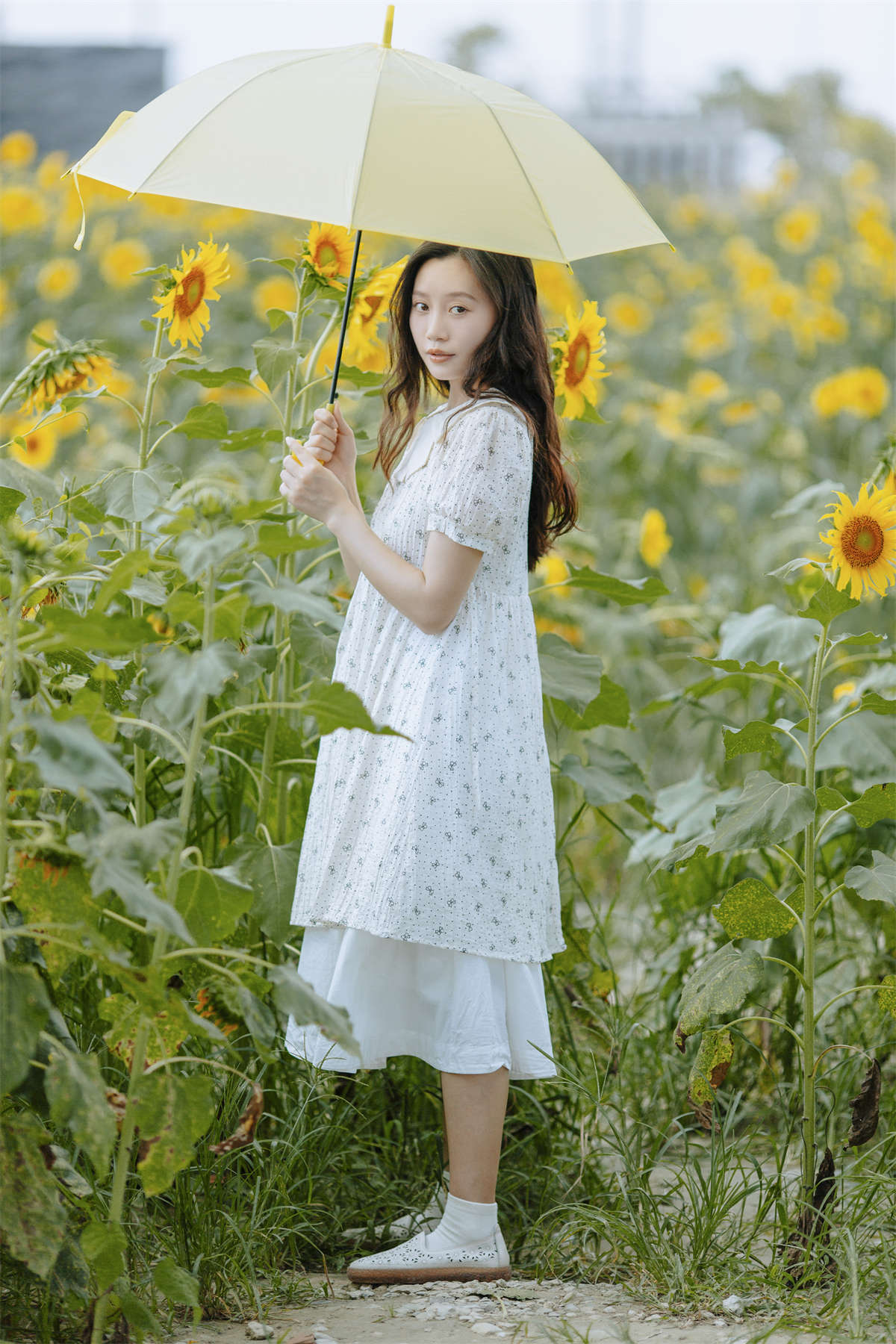 YITUYU艺图语 2023.09.08 打碎了一片艳阳 绿豆插图1