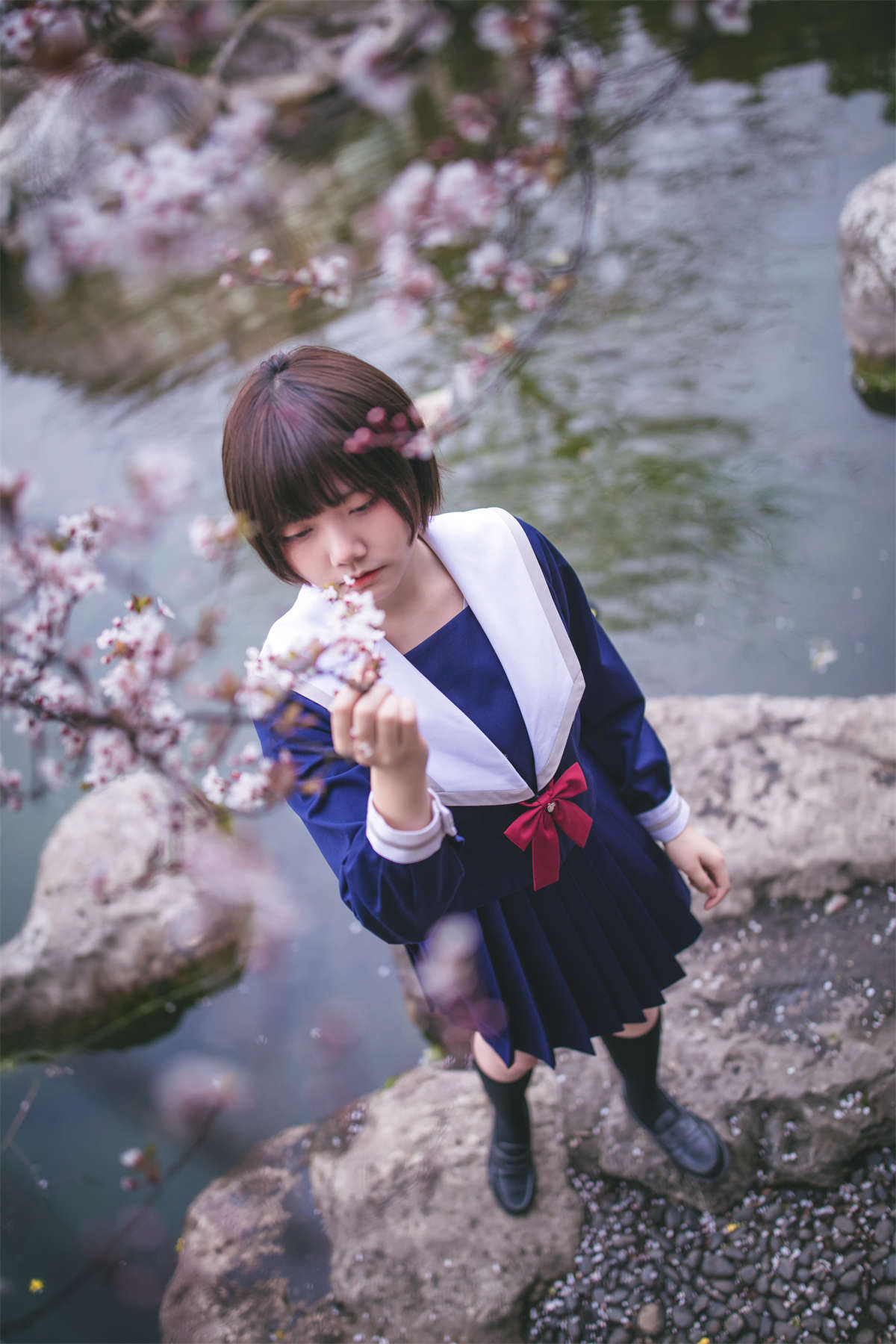 图片[2]-YITUYU艺图语 2022.04.15 樱花树下 灰猫-日更街拍