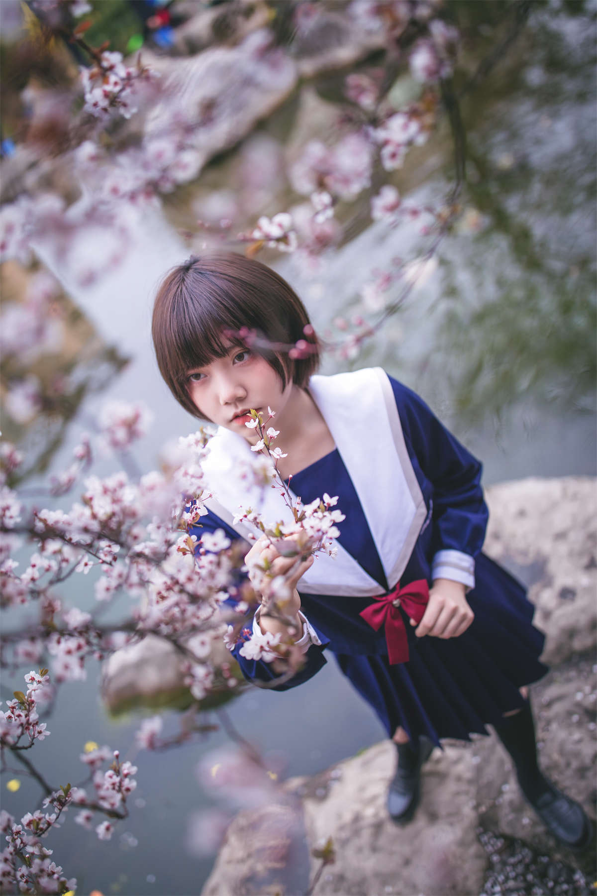 YITUYU艺图语 2022.04.15 樱花树下 灰猫-日更街拍