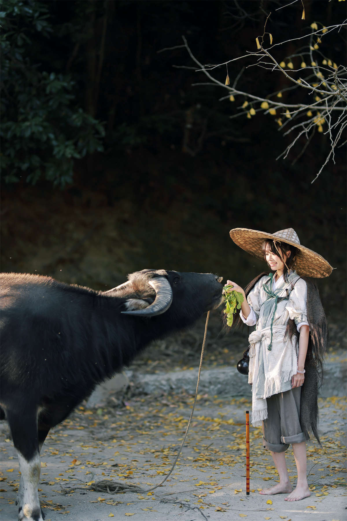 YITUYU艺图语 2024.11.14 牧童 惠儿儿吖插图1