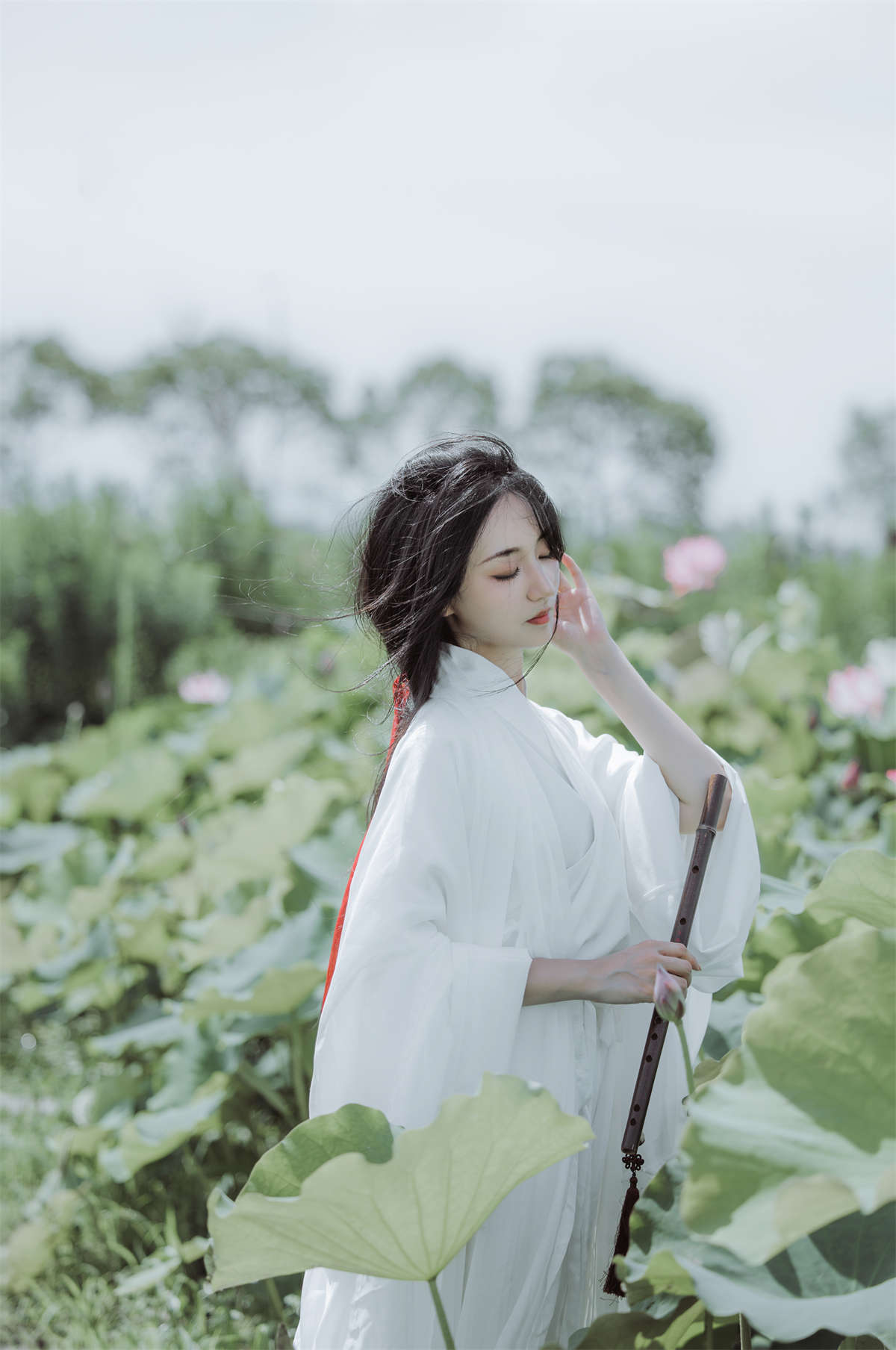 YITUYU艺图语 2022.08.06 荷花 柒苡安插图1