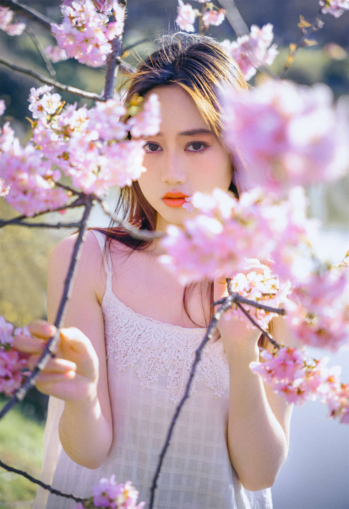 图片[2]-YITUYU艺图语 2022.04.20 樱花物语 乐乐-日更街拍