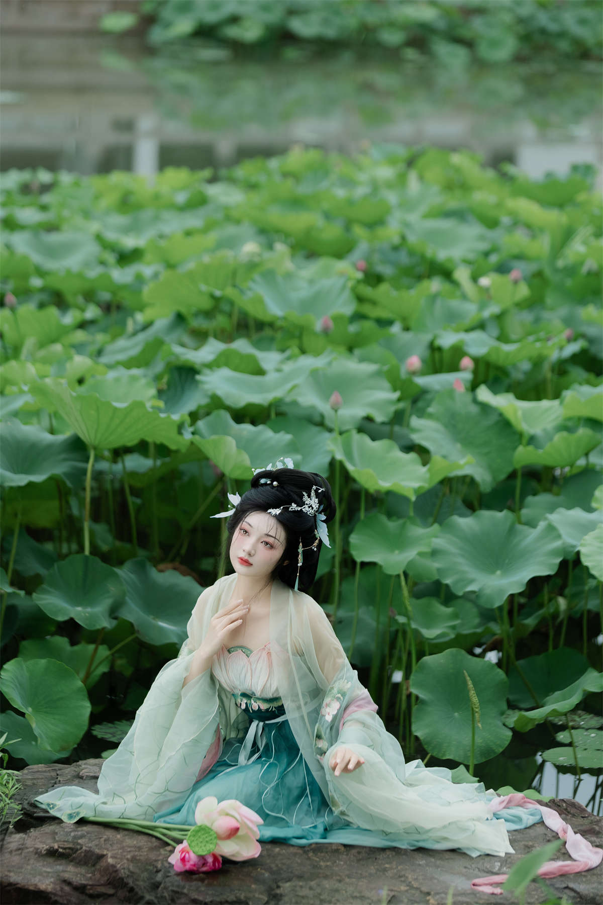 YITUYU艺图语 2024.10.01 暑荷 庄子清插图1