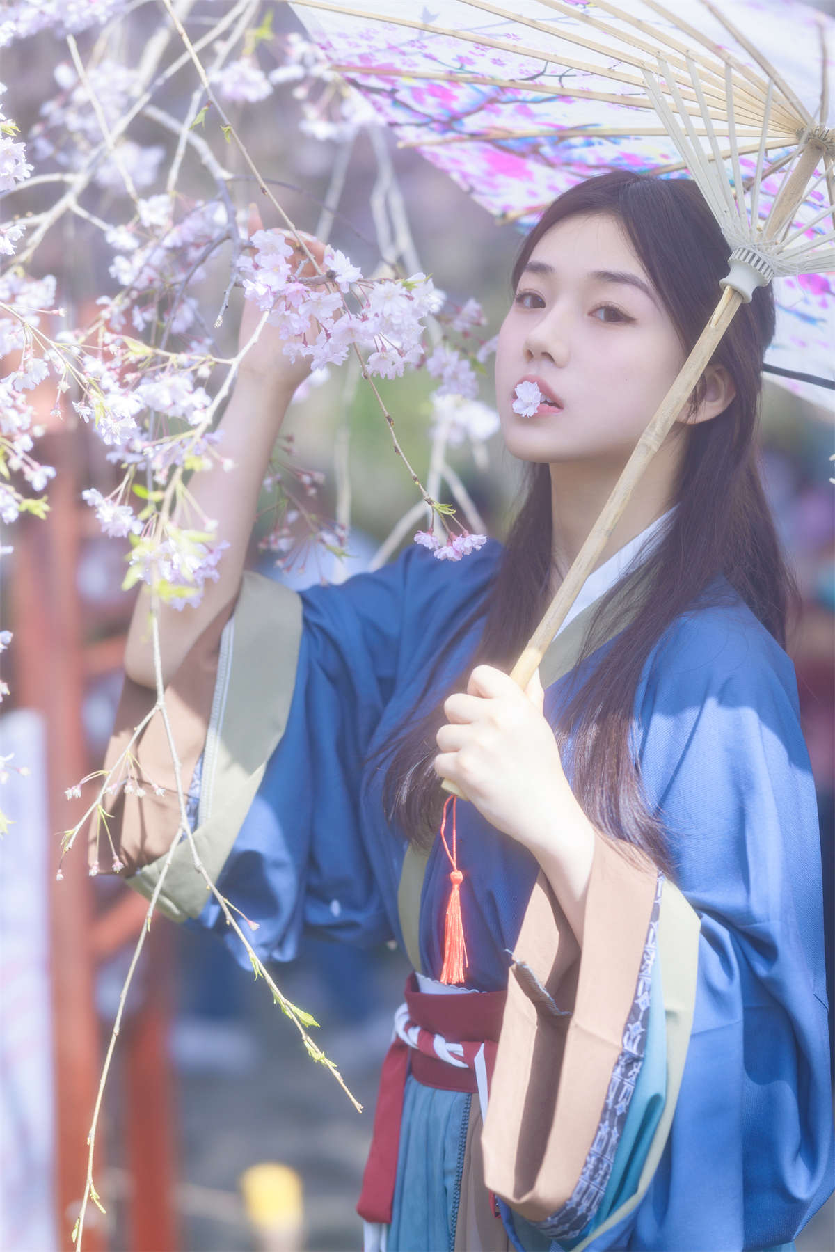 YITUYU艺图语 2023.06.29 垂樱 裴同学插图1