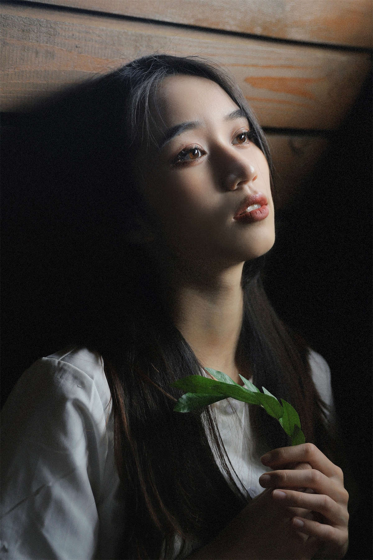 YITUYU艺图语 2023.09.23 飞鸟集 小颖插图1