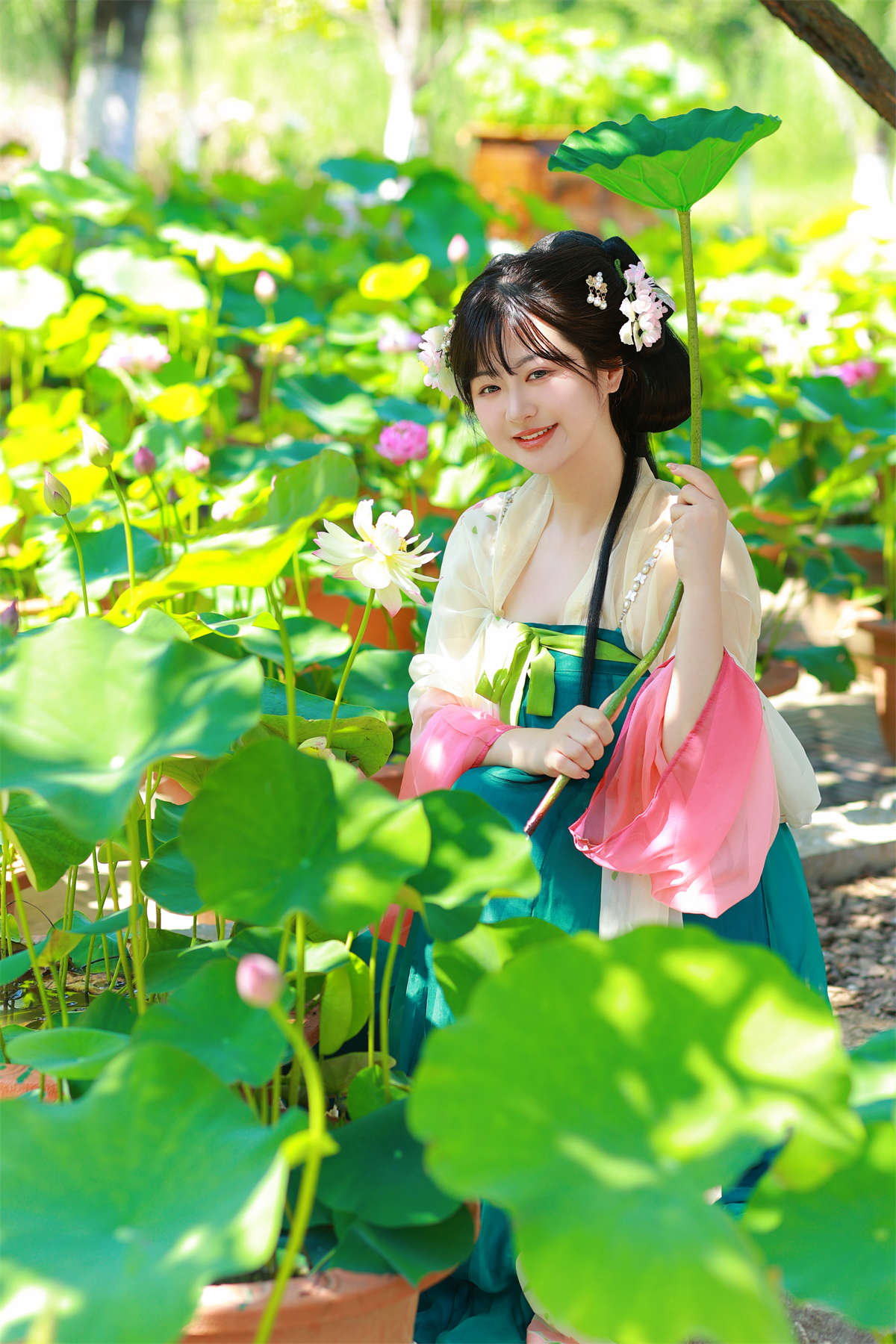 YITUYU艺图语 2023.08.13 风荷举 不可爱的禾禾喵插图1