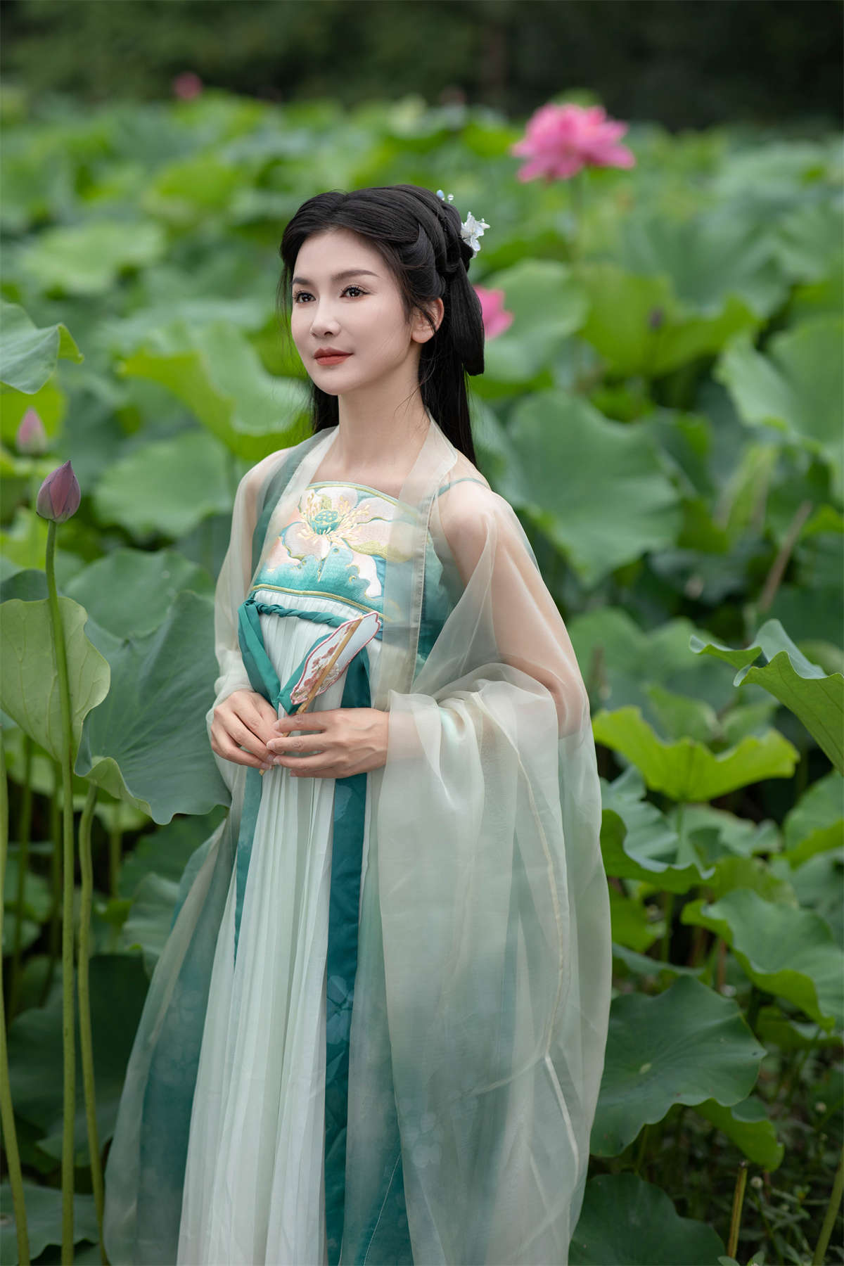 YITUYU艺图语 2023.08.14 赏荷 纪忆插图1