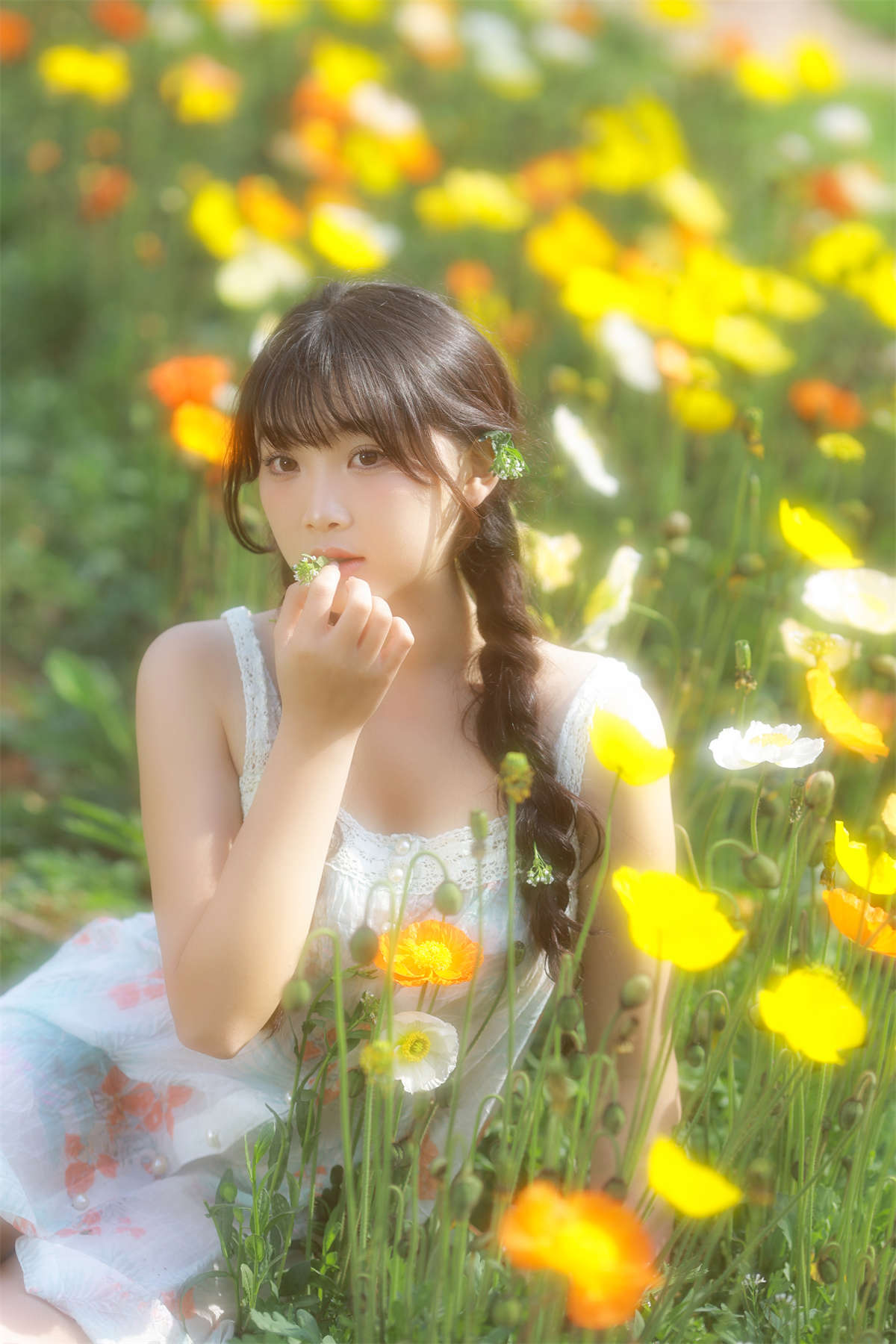 YITUYU艺图语 2023.05.12 虞美人开满的山坡 耀心在长个-日更街拍