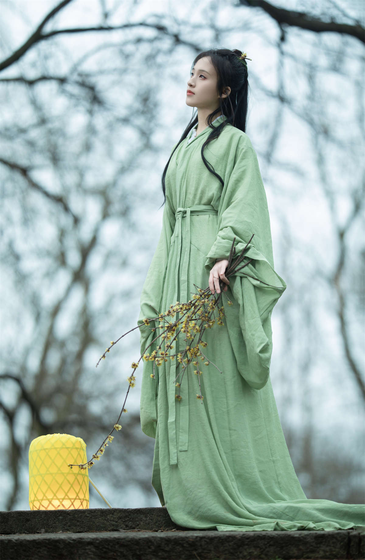 YITUYU艺图语 2024.02.03 折枝 方莛玉插图1