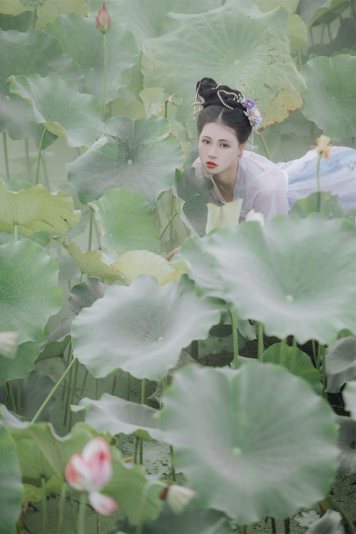 YITUYU艺图语 2022.09.25 如梦令 努力搬砖的双翮插图1