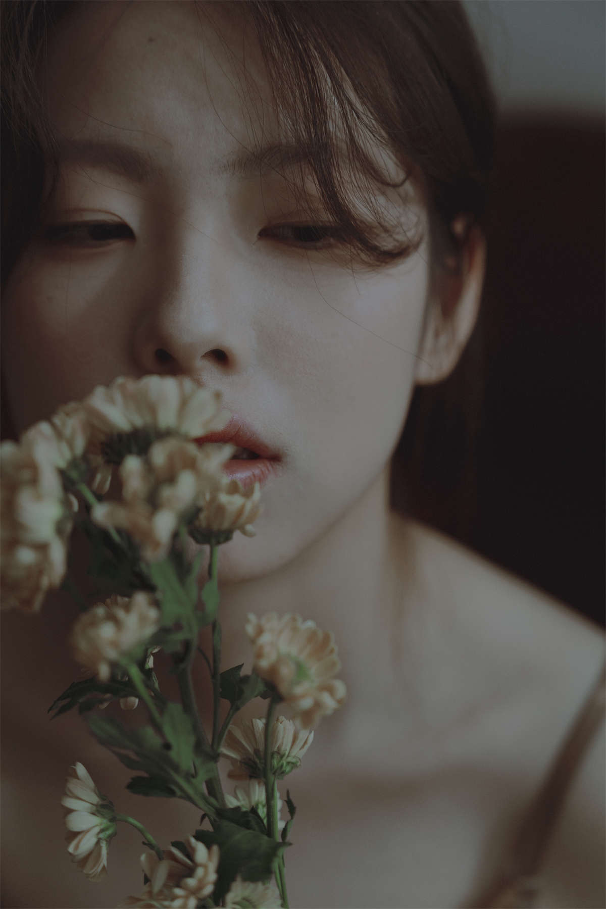 YITUYU艺图语 2024.02.07 裂缝中的光 小叶插图1