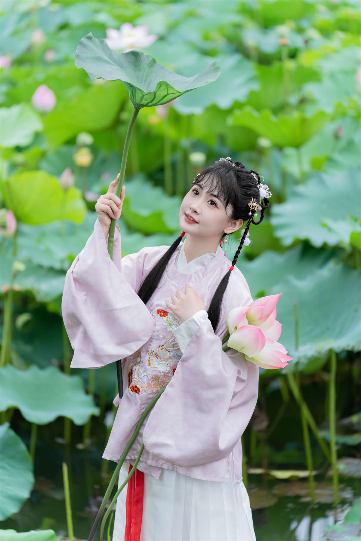 YITUYU艺图语 2024.08.08 荷花的夏天 湫一只岁岁插图1