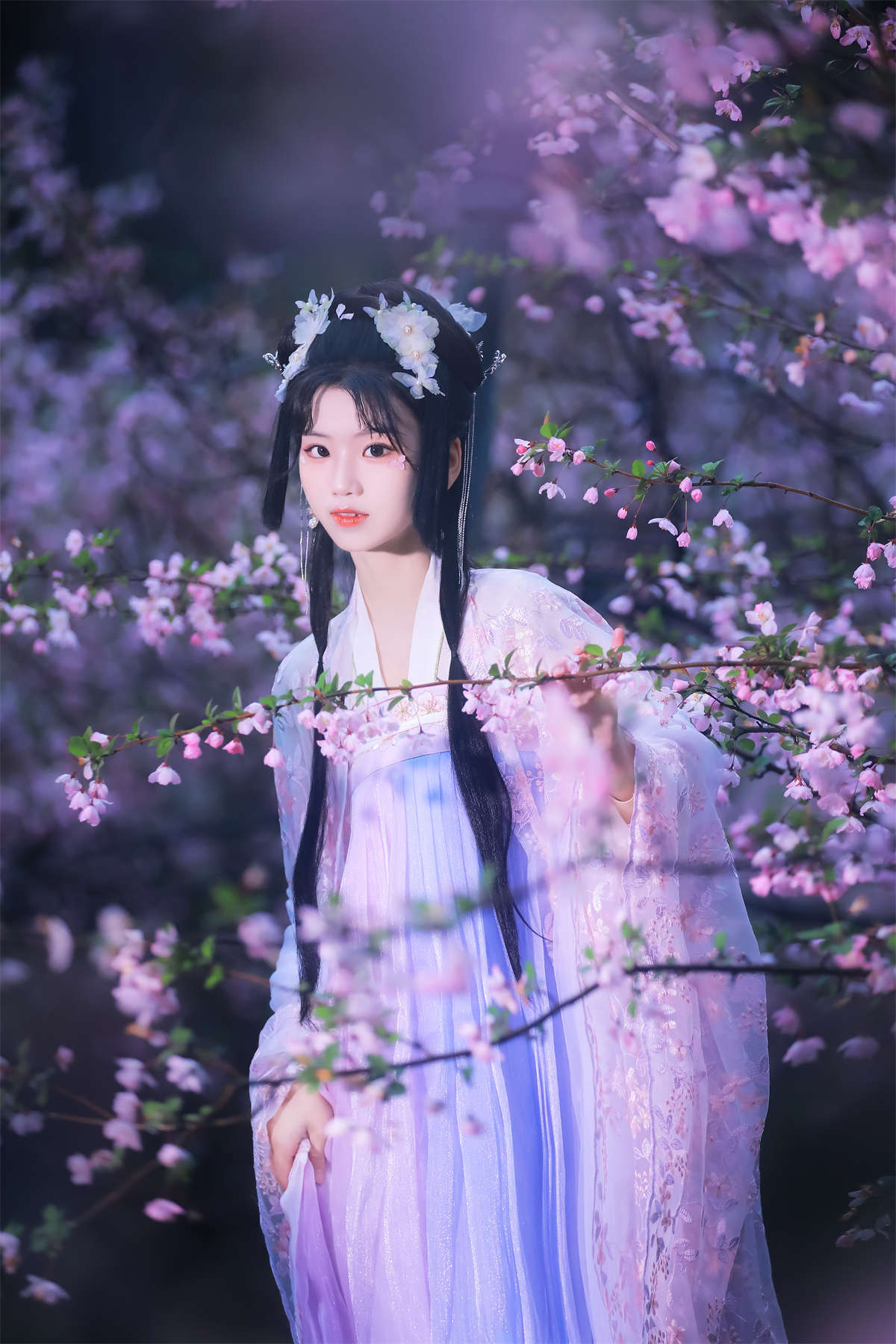 YITUYU艺图语 2024.02.08 海棠依旧 周周Ay插图1