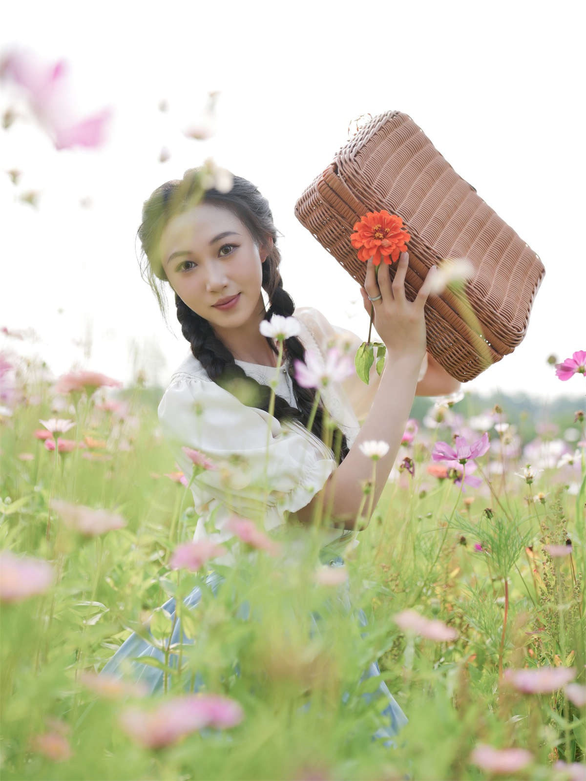 YITUYU艺图语 2024.08.14 花海浪漫 小智小智插图1