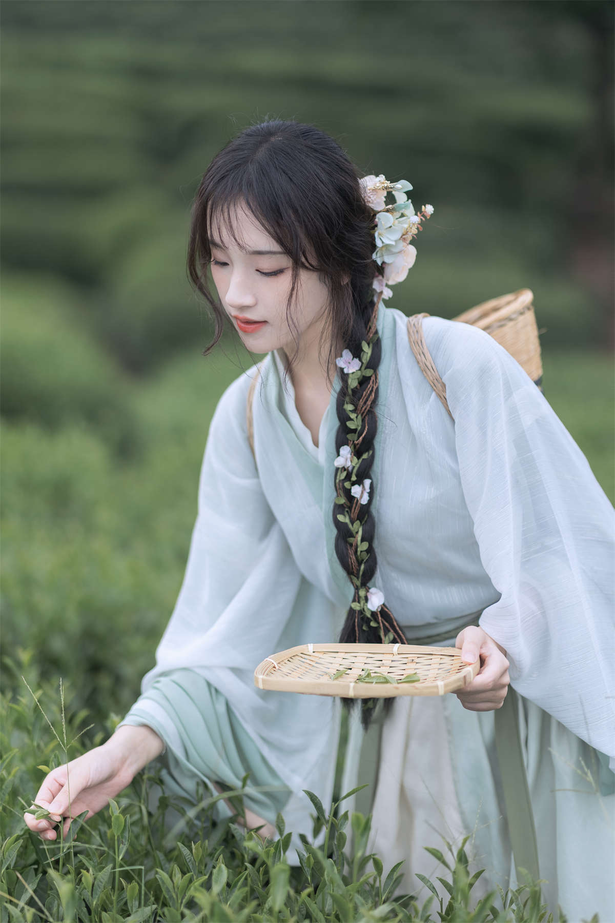 YITUYU艺图语 2022.11.10 采茶纪 方莛玉插图1