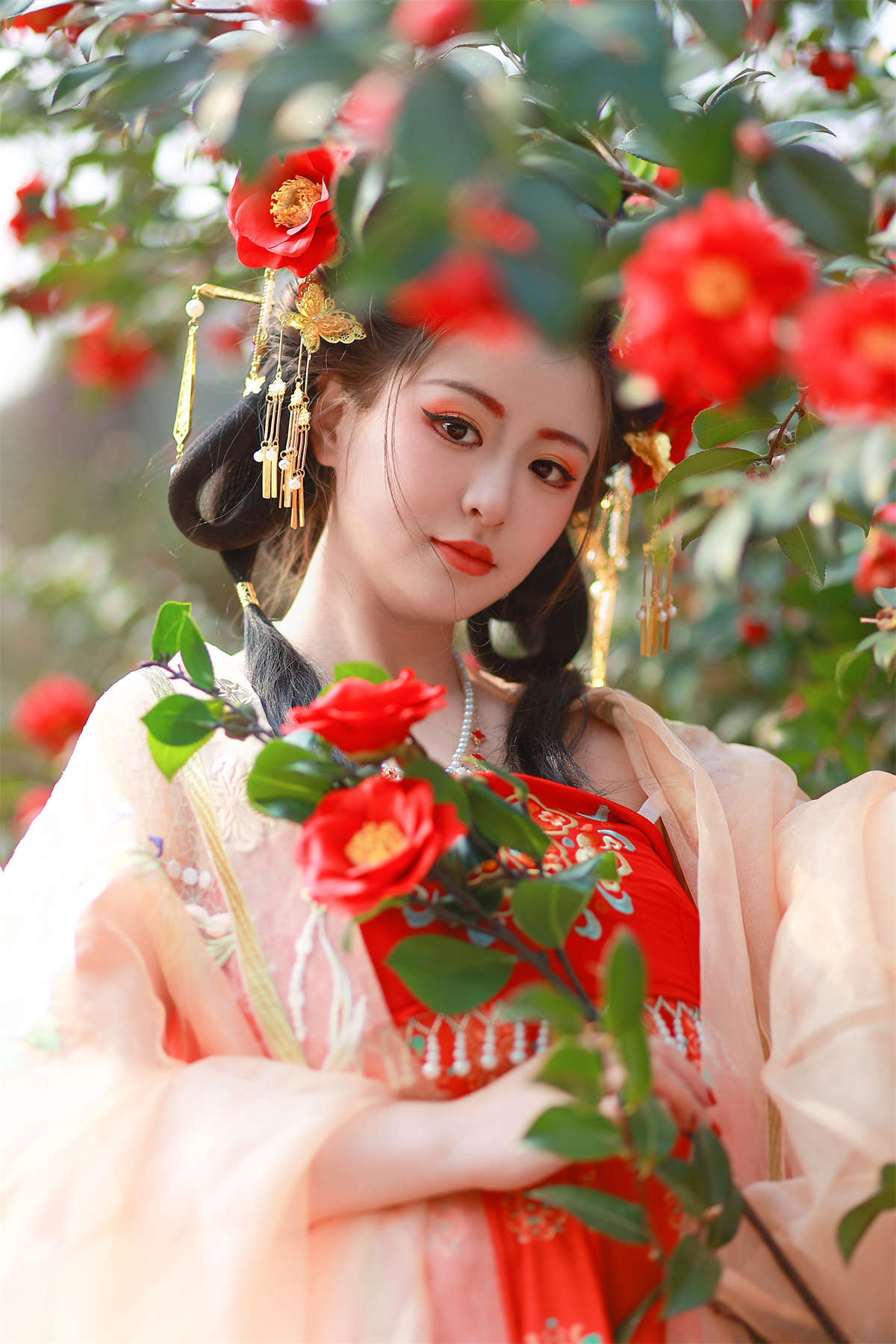 YITUYU艺图语 2023.08.16 山茶晚照 不可爱的禾禾喵插图1