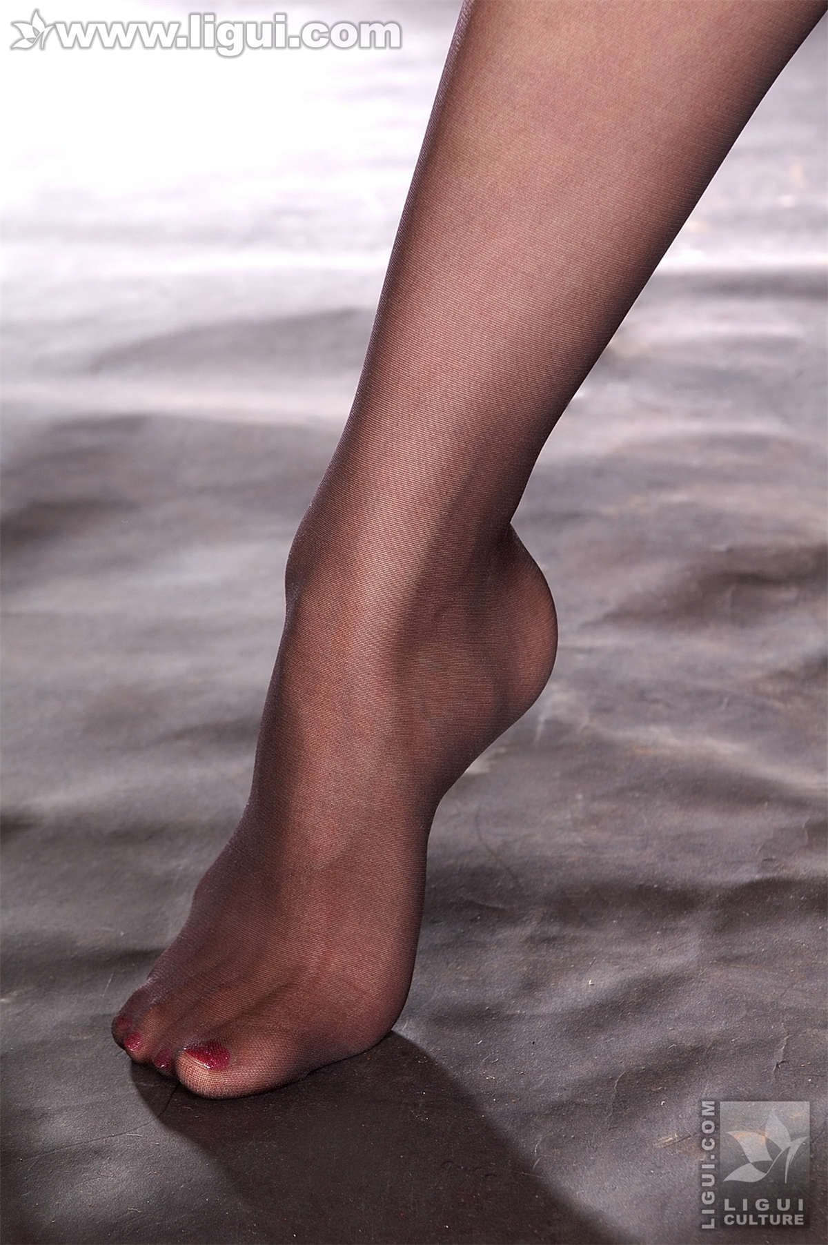 Ligui丽柜 20081217 性感身段高挑魅惑黑丝触动底线欲望的精彩 安琪-日更街拍