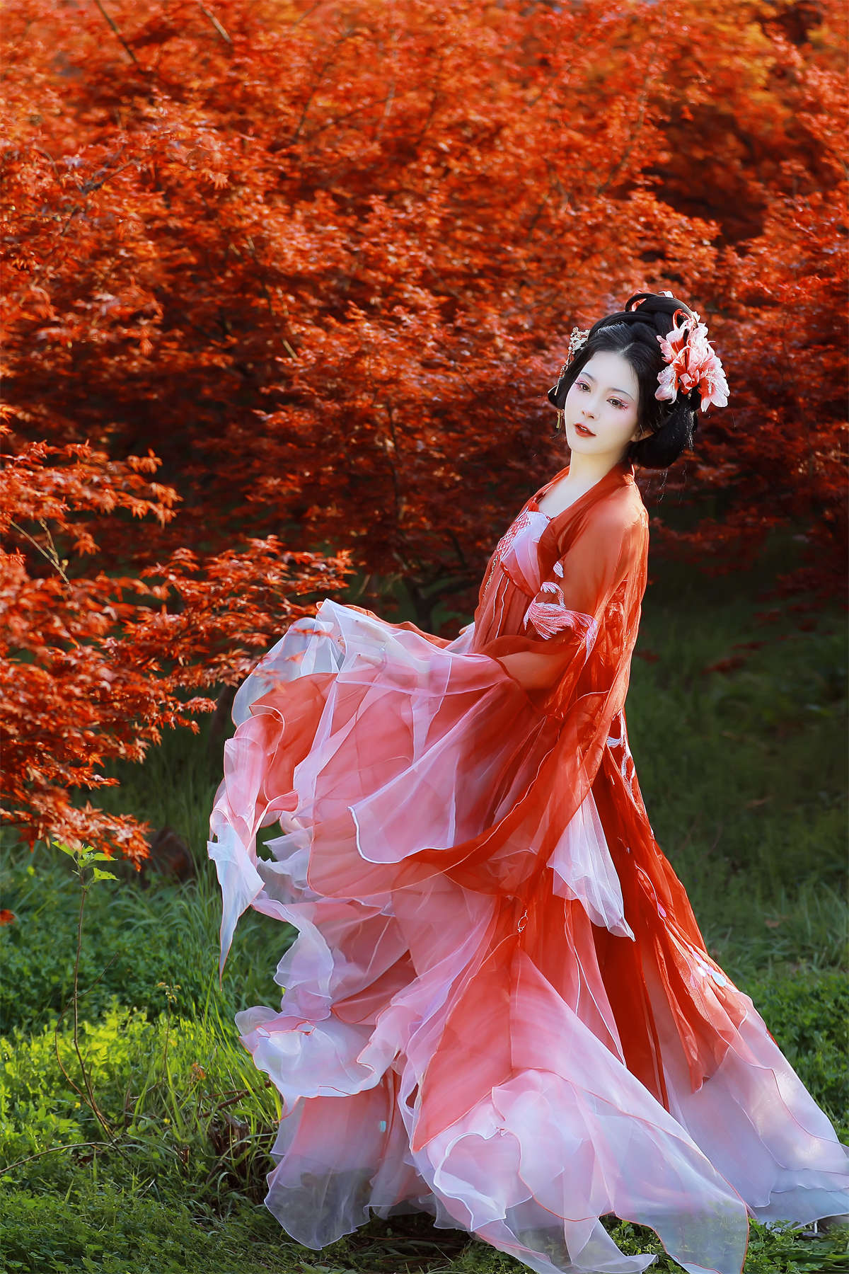 YITUYU艺图语 2024.06.30 鱼龙舞 猫子子插图1