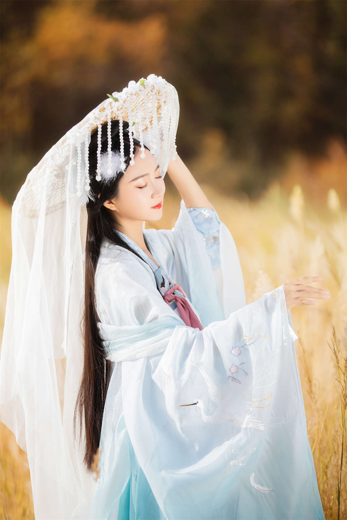 YITUYU艺图语 2023.05.10 化鹤归  绮罗生的小苏苏插图1