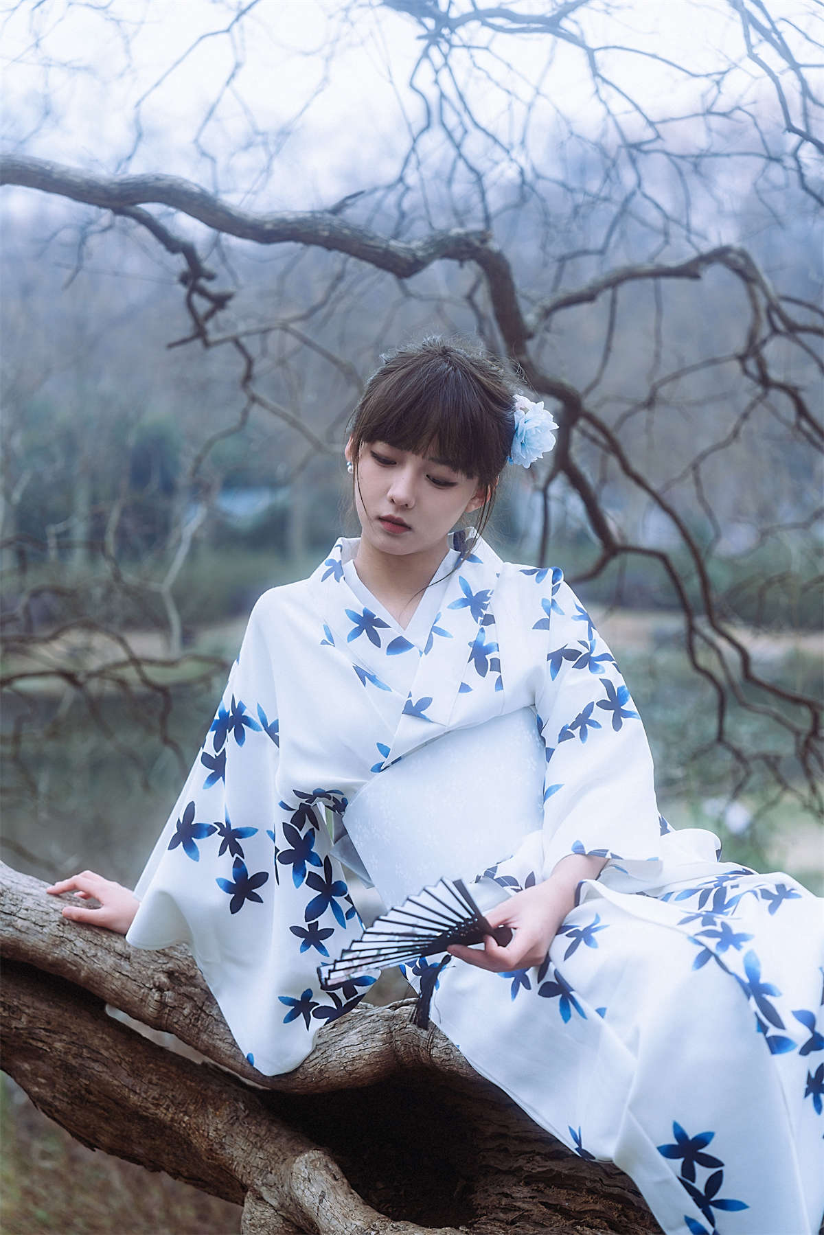 YITUYU艺图语 2024.07.03 等待枯树开出新的花 小羊插图1