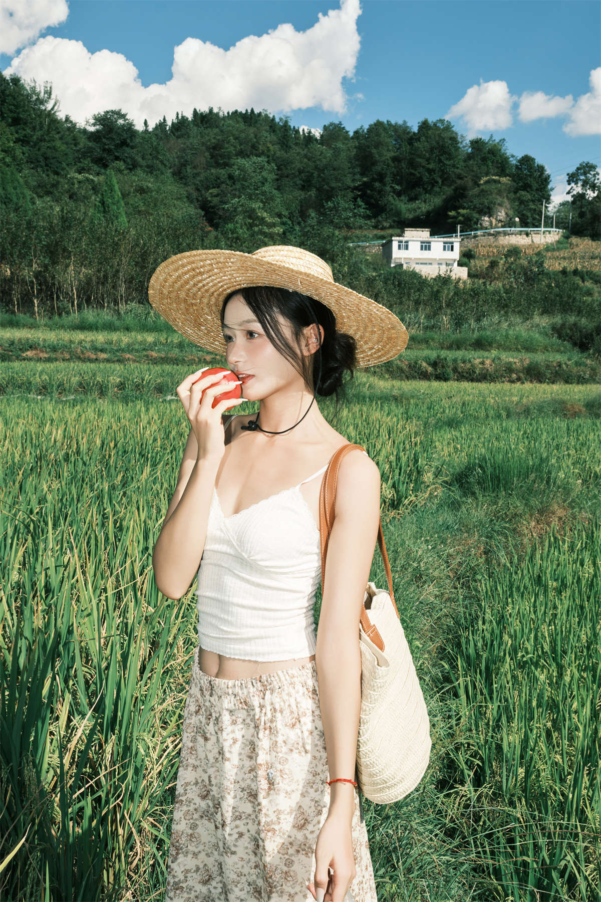 YITUYU艺图语 2024.11.13 无尽夏日 小番茄插图1