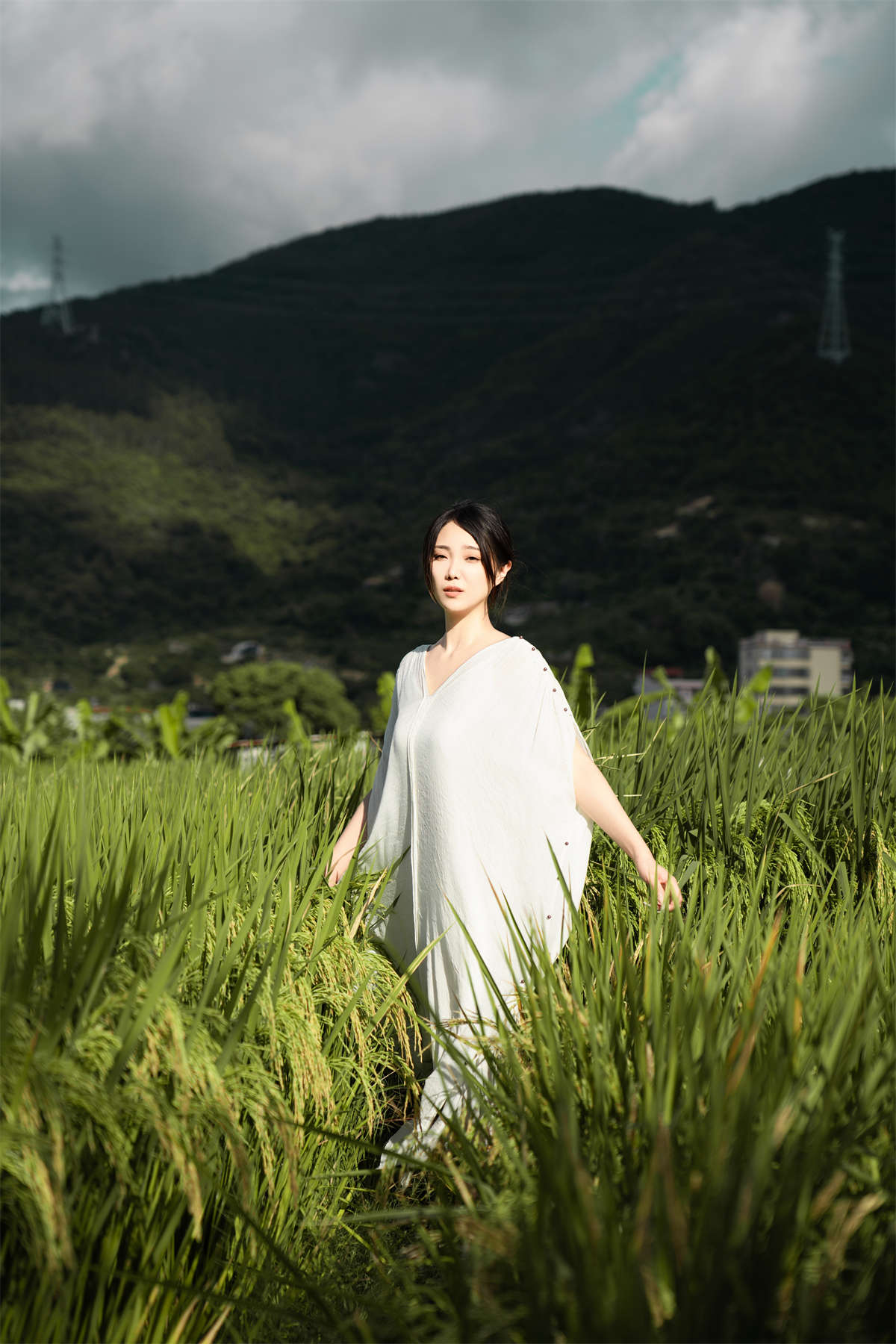 YITUYU艺图语 2024.12.13 稻田 小雅插图1