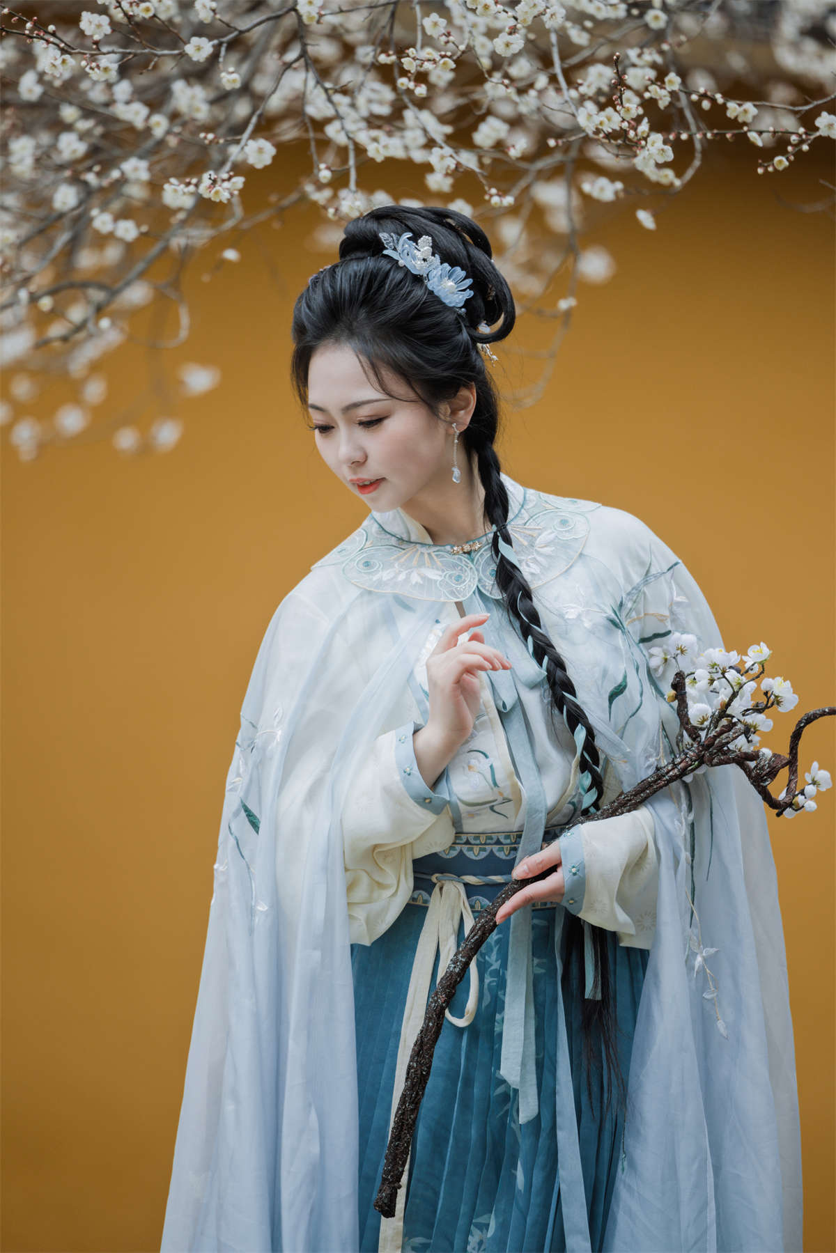 YITUYU艺图语 2023.03.15 青梅 阡墨红尘插图1