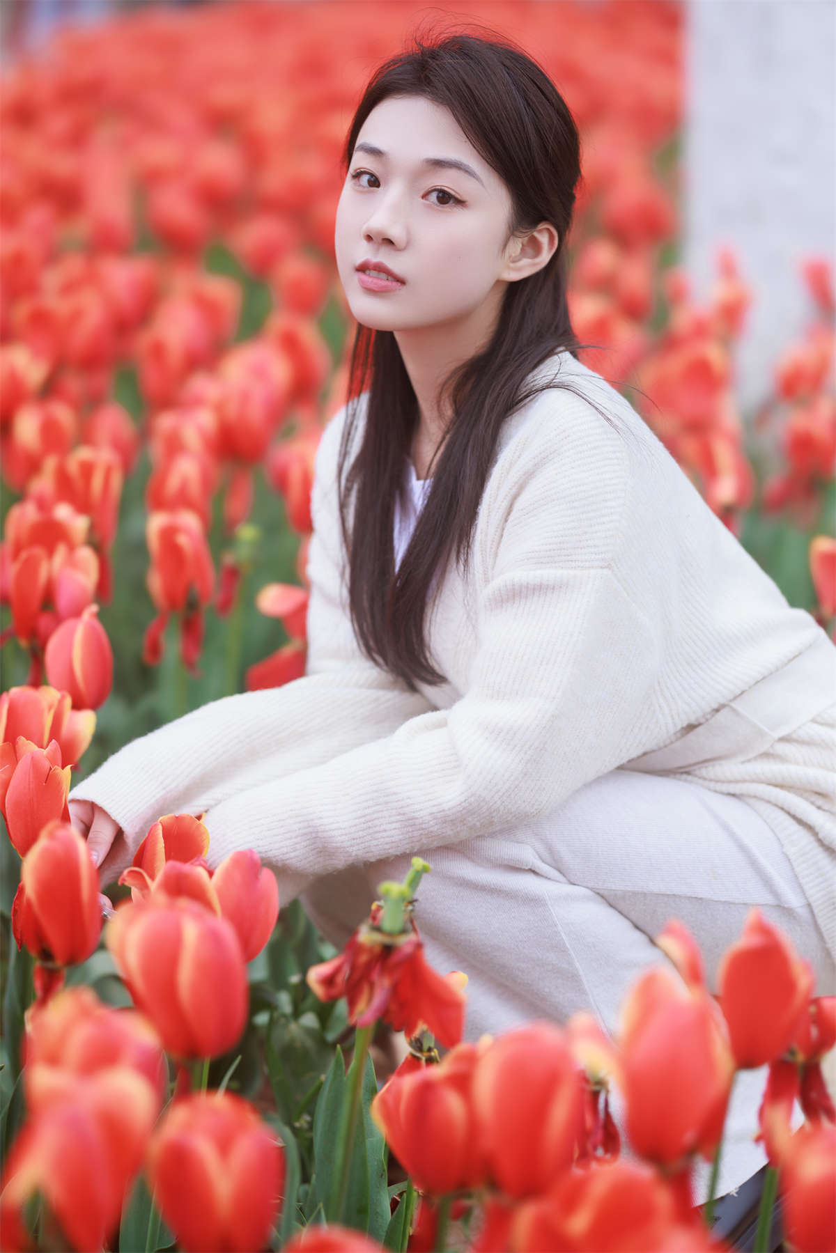 YITUYU艺图语 2023.06.07 郁金香拍照 裴同学-日更街拍