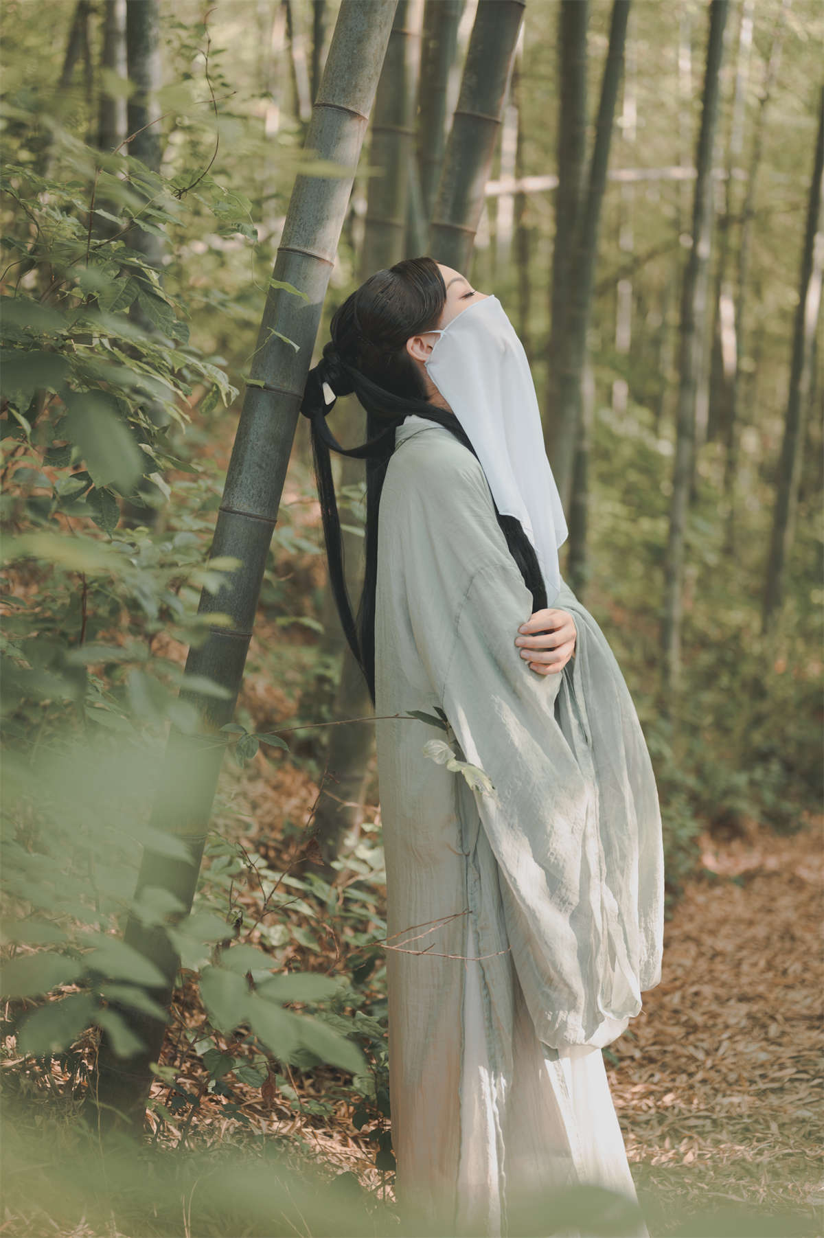 YITUYU艺图语 2022.09.08 风云叹逍遥 奶小白是金鱼插图1