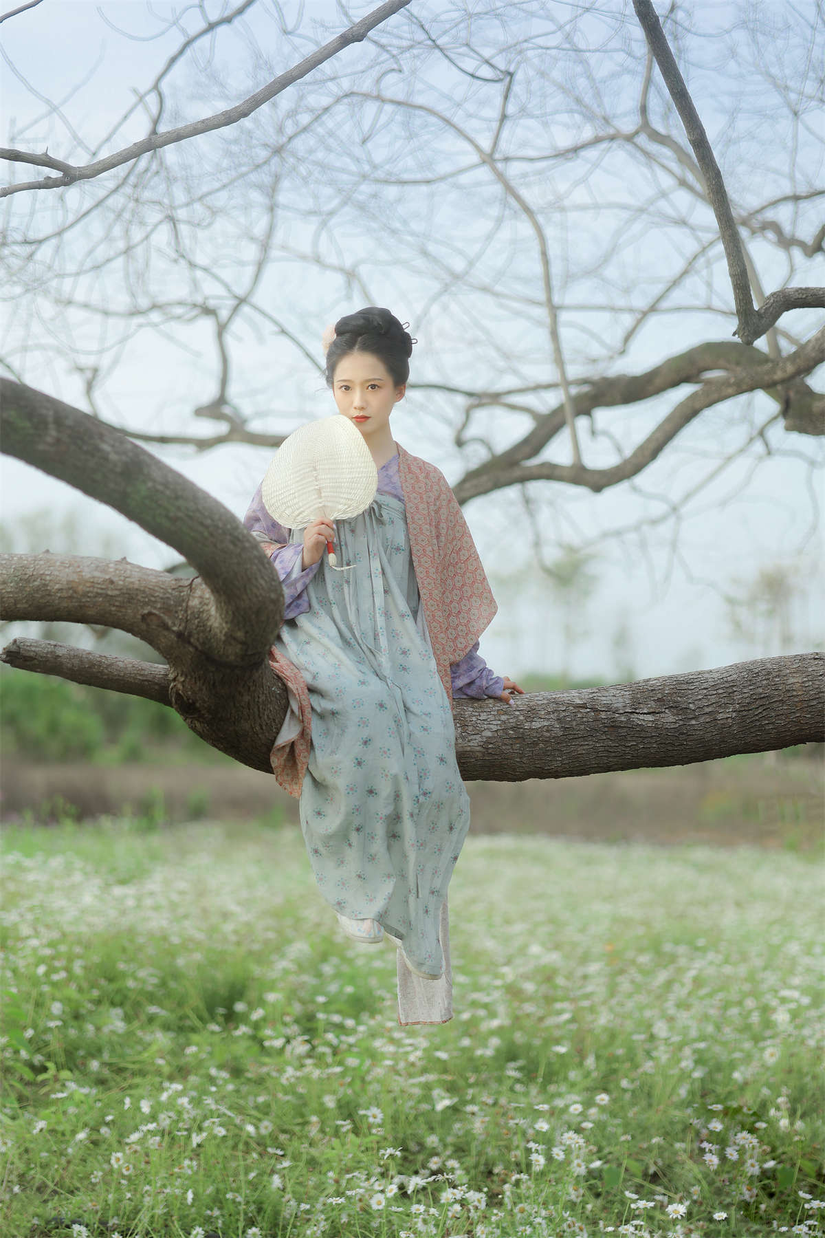 YITUYU艺图语 2023.06.08 小雏菊 劉忄乂插图1