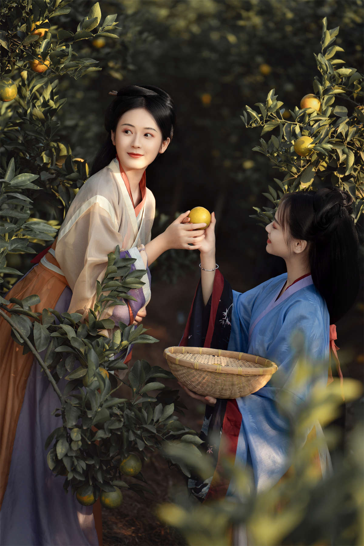 YITUYU艺图语 2023.06.07 采橘 薯片插图1