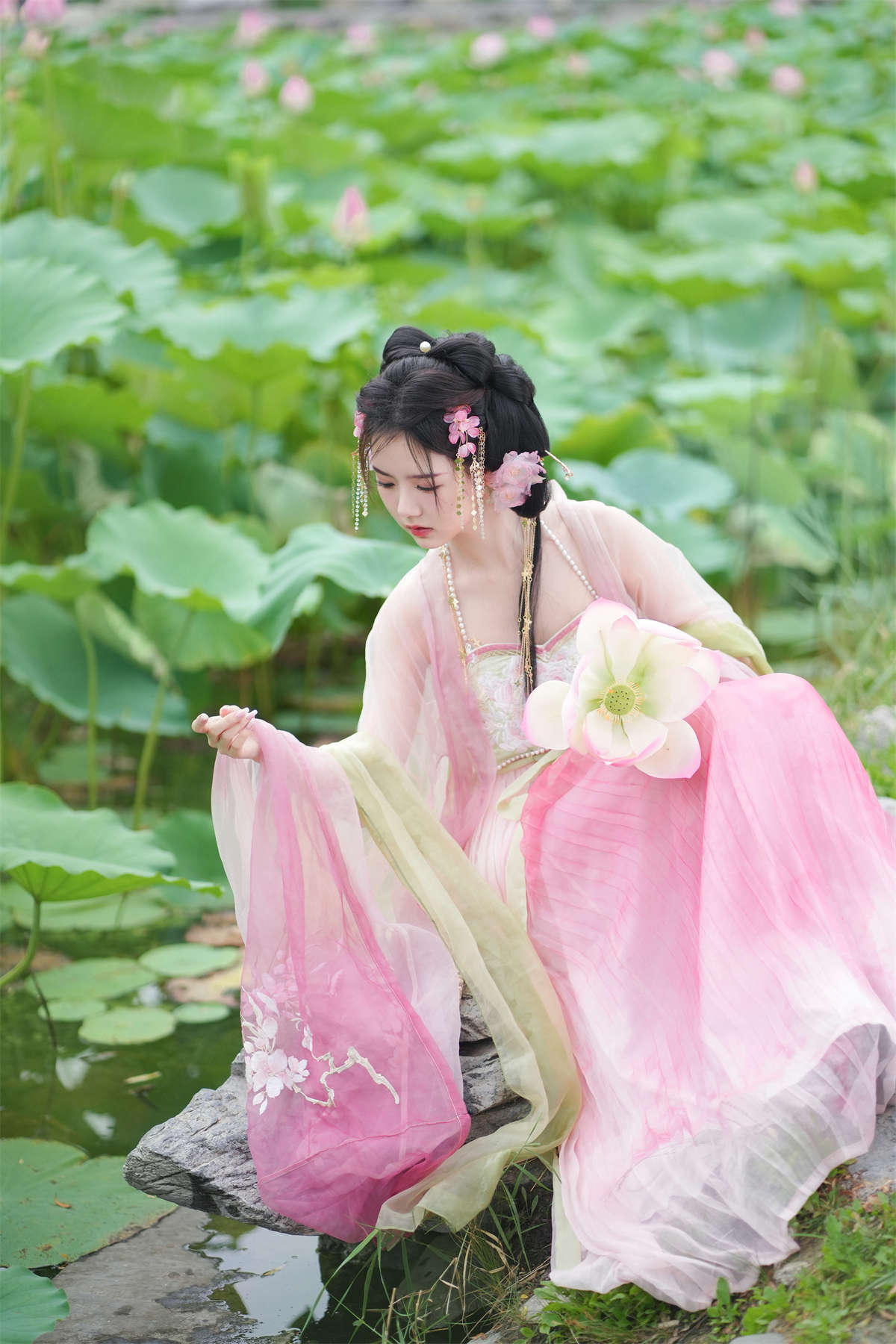 YITUYU艺图语 2023.07.21 误入藕花深处 是鱼干啊～插图1