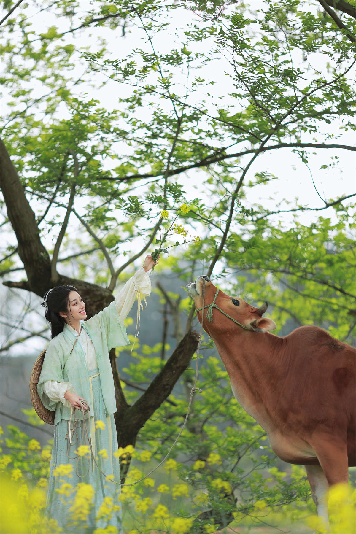 YITUYU艺图语 2023.02.25 牧牛 小清菡呀插图1