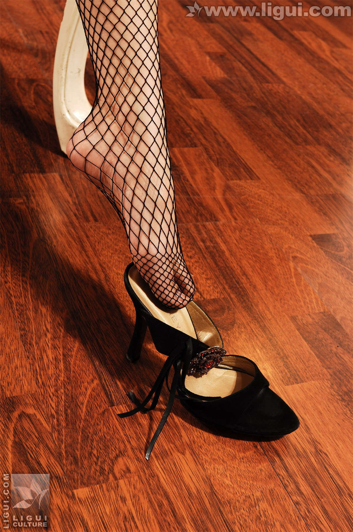 Ligui丽柜 20090311 大网长袜罩住少女玉腿 丝丝-日更街拍