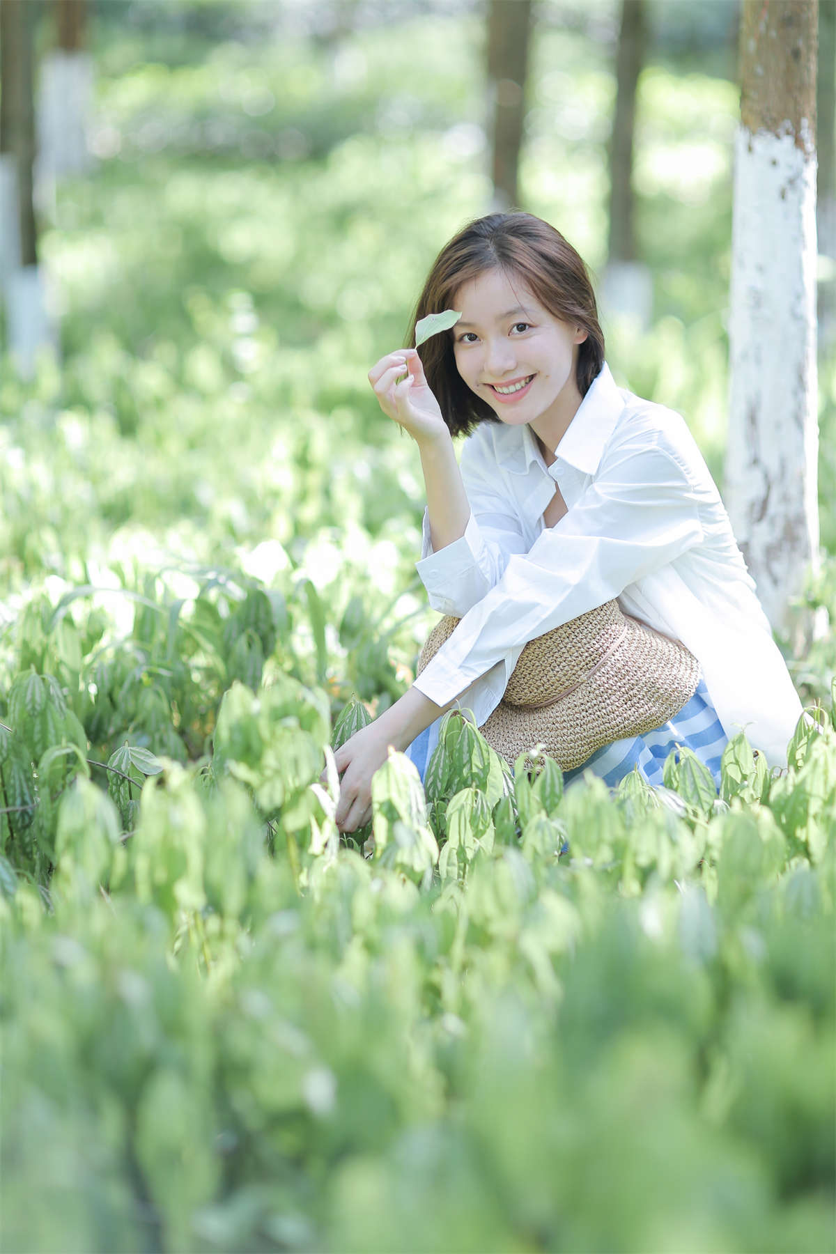 YITUYU艺图语 2024.02.22 这个夏天躲进森林 爽口丸纸插图1