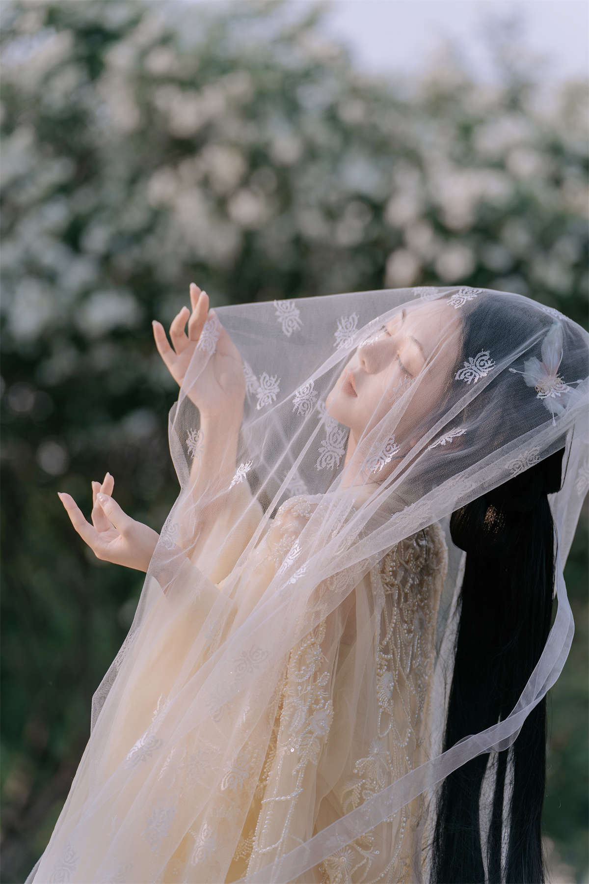 YITUYU艺图语 2023.06.25 黄蝴蝶 千雪呀插图1