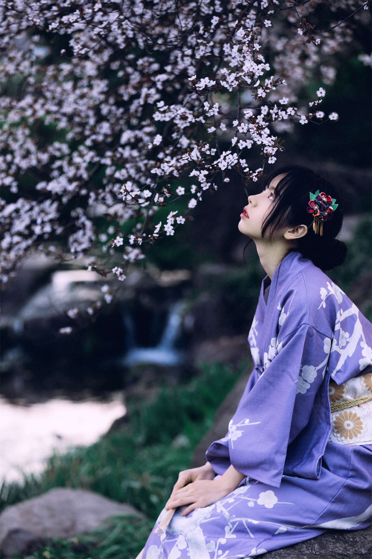 YITUYU艺图语 2023.01.16 懒樱 林木婷子插图1