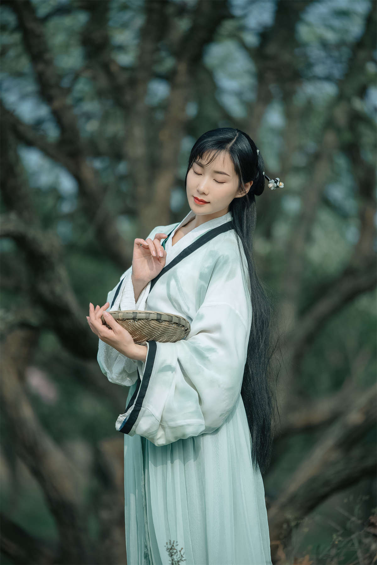 YITUYU艺图语 2023.06.25 梨香 木景抒插图1