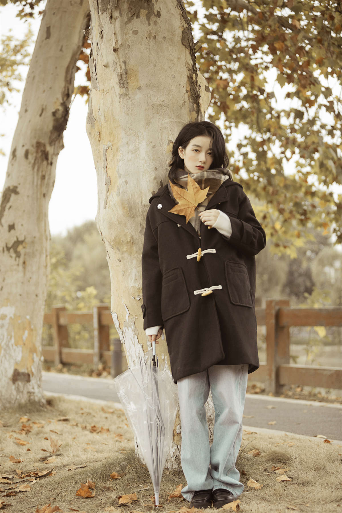 YITUYU艺图语 2023.01.16 漫步梧桐林 肖绿叶插图1