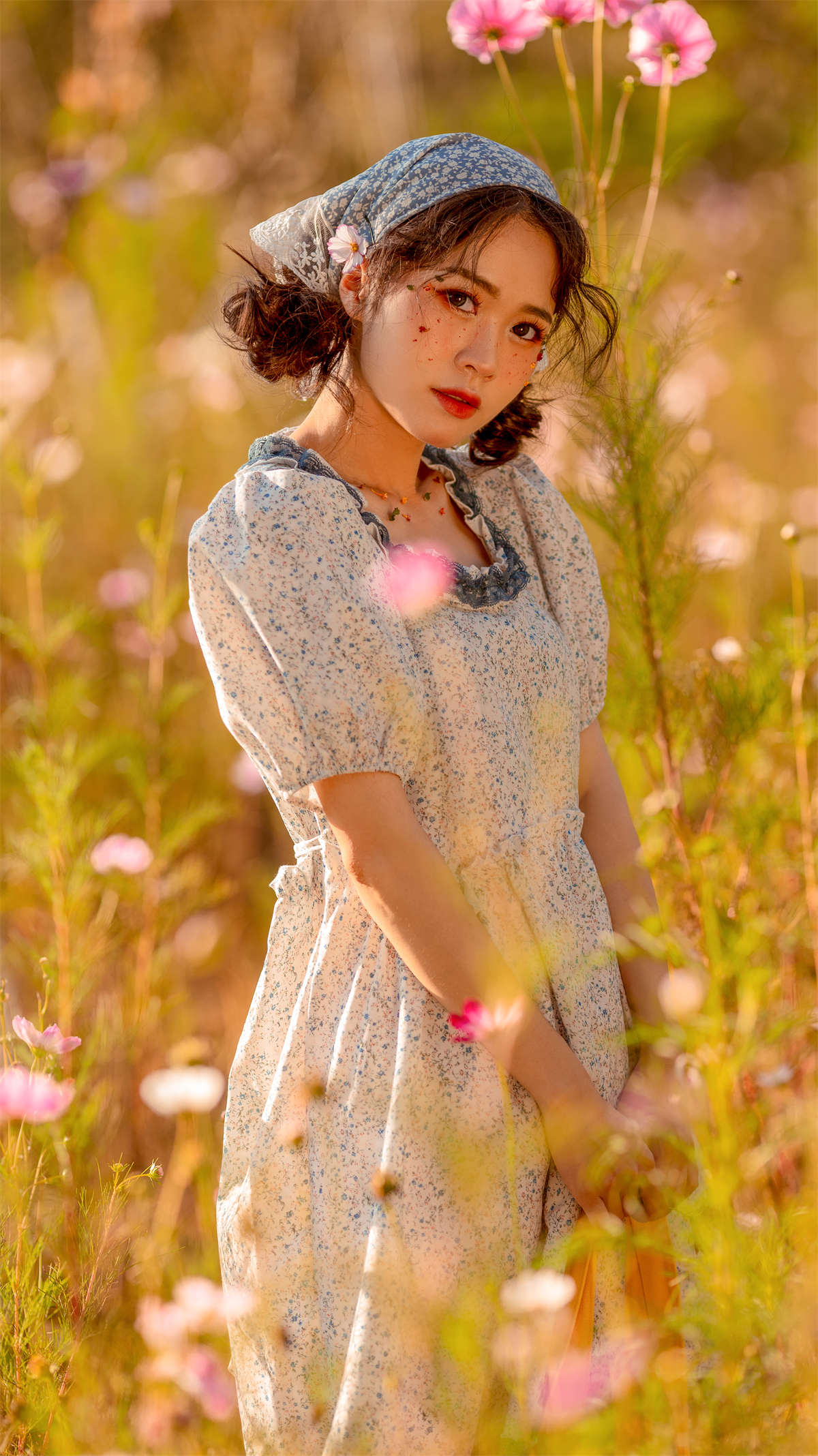 YITUYU艺图语 2023.10.12 遇见格桑花 一插图1