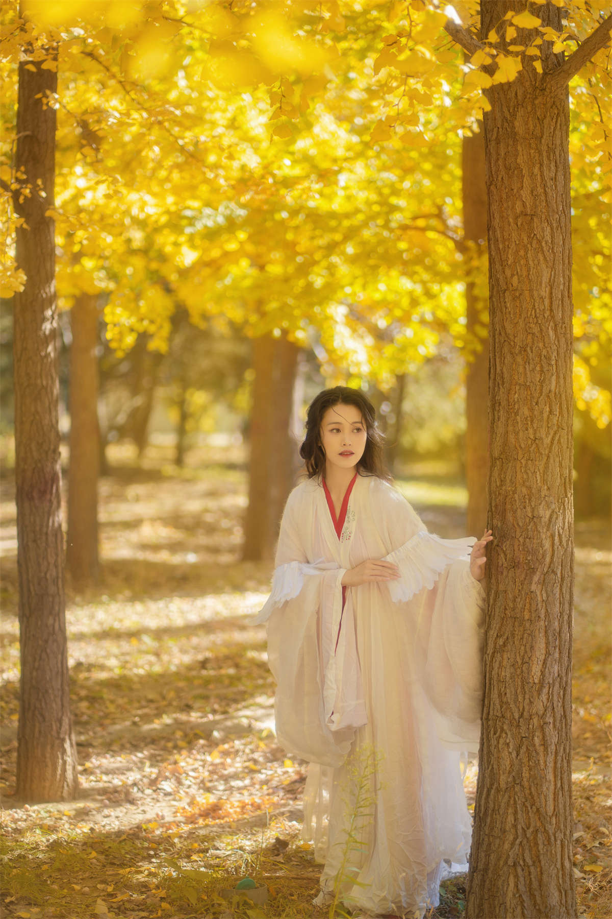 YITUYU艺图语 2022.11.30 银杏 青霜鹅插图1